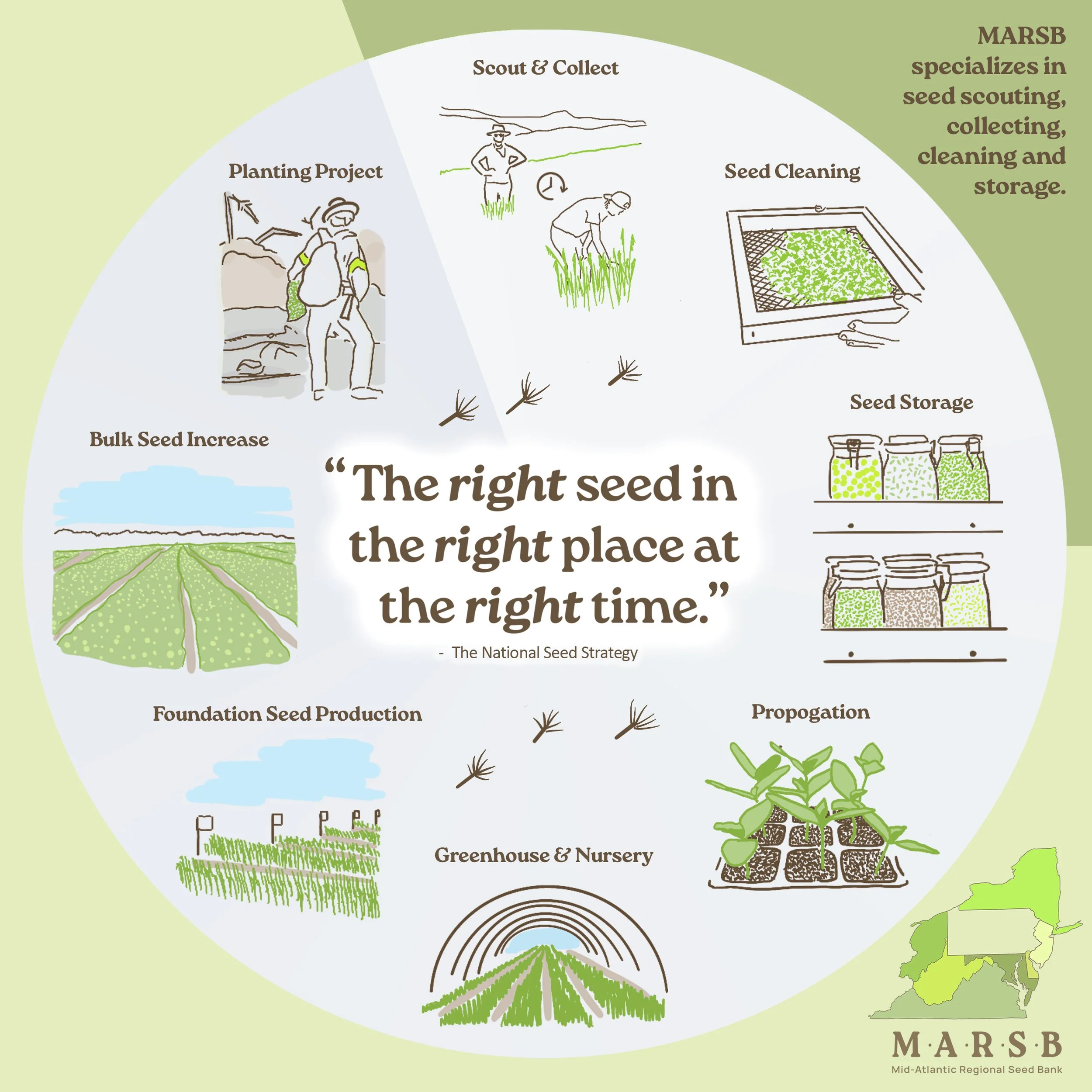 Sourcing Seed is Risky Business (or it should be)