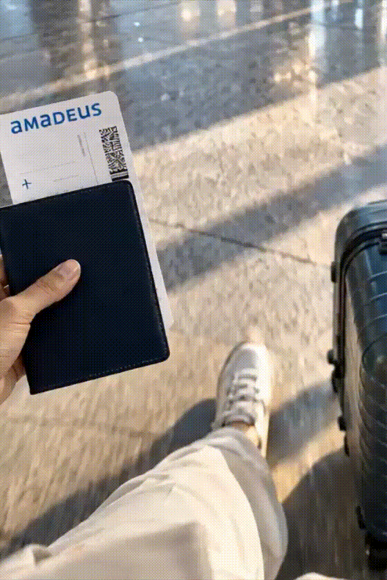 Amadeus IT Group