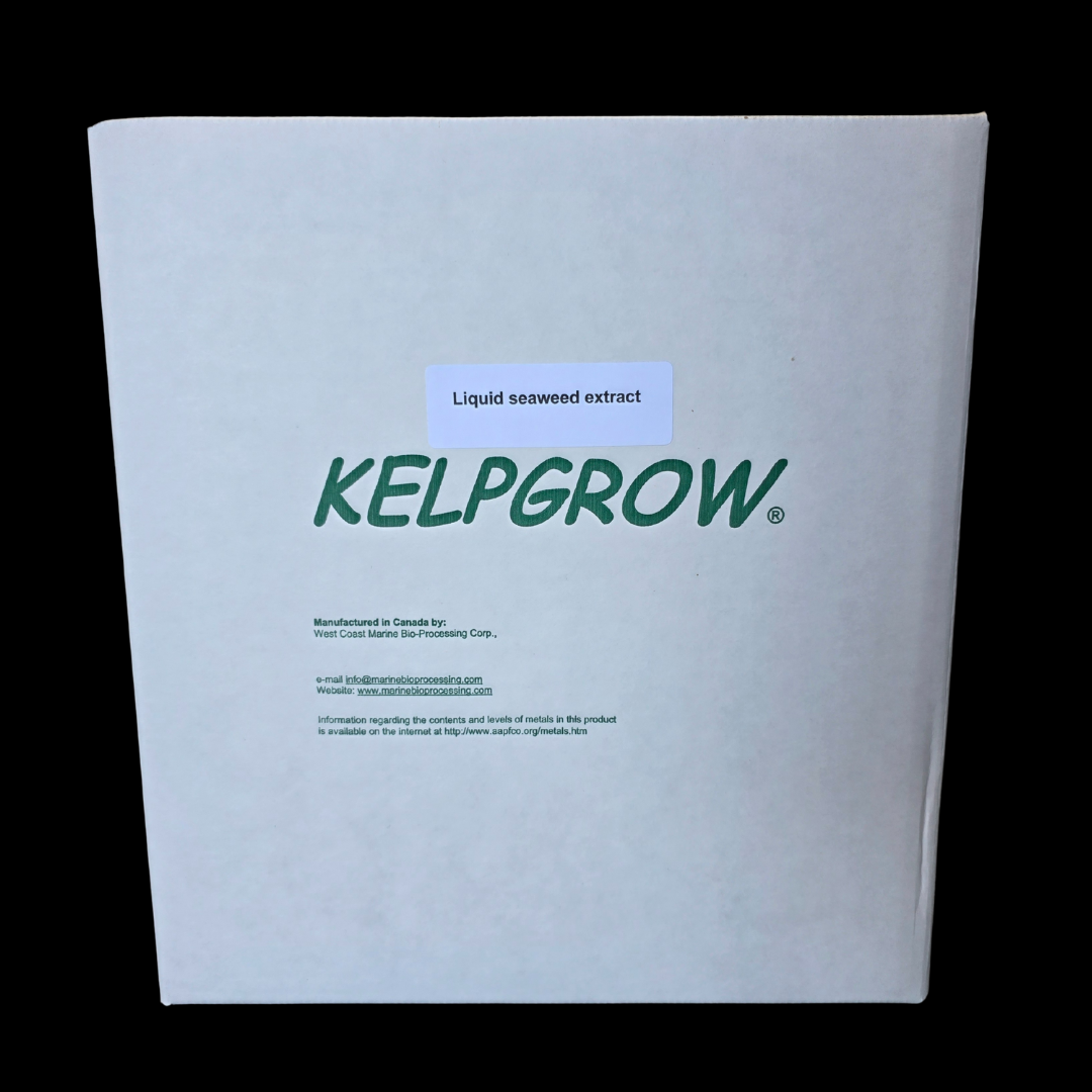 Kelpgrow Box.png