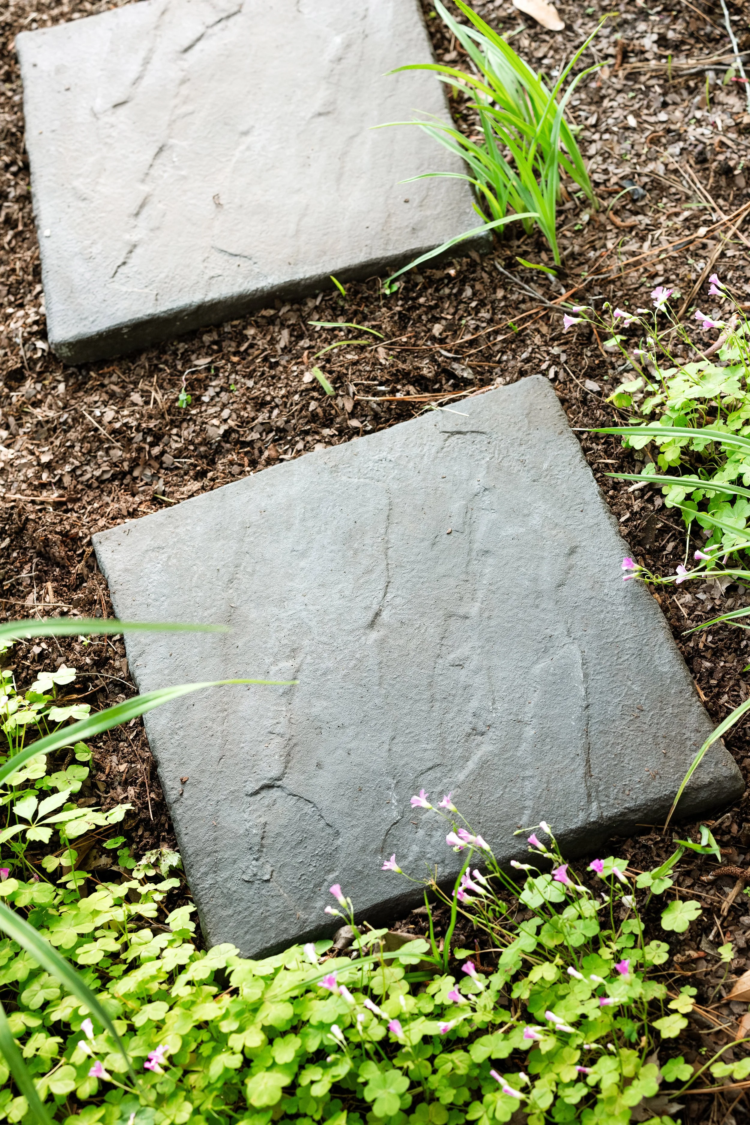 Two square gray stone pavers surrounded by small green plants and pink flowers in a garden.