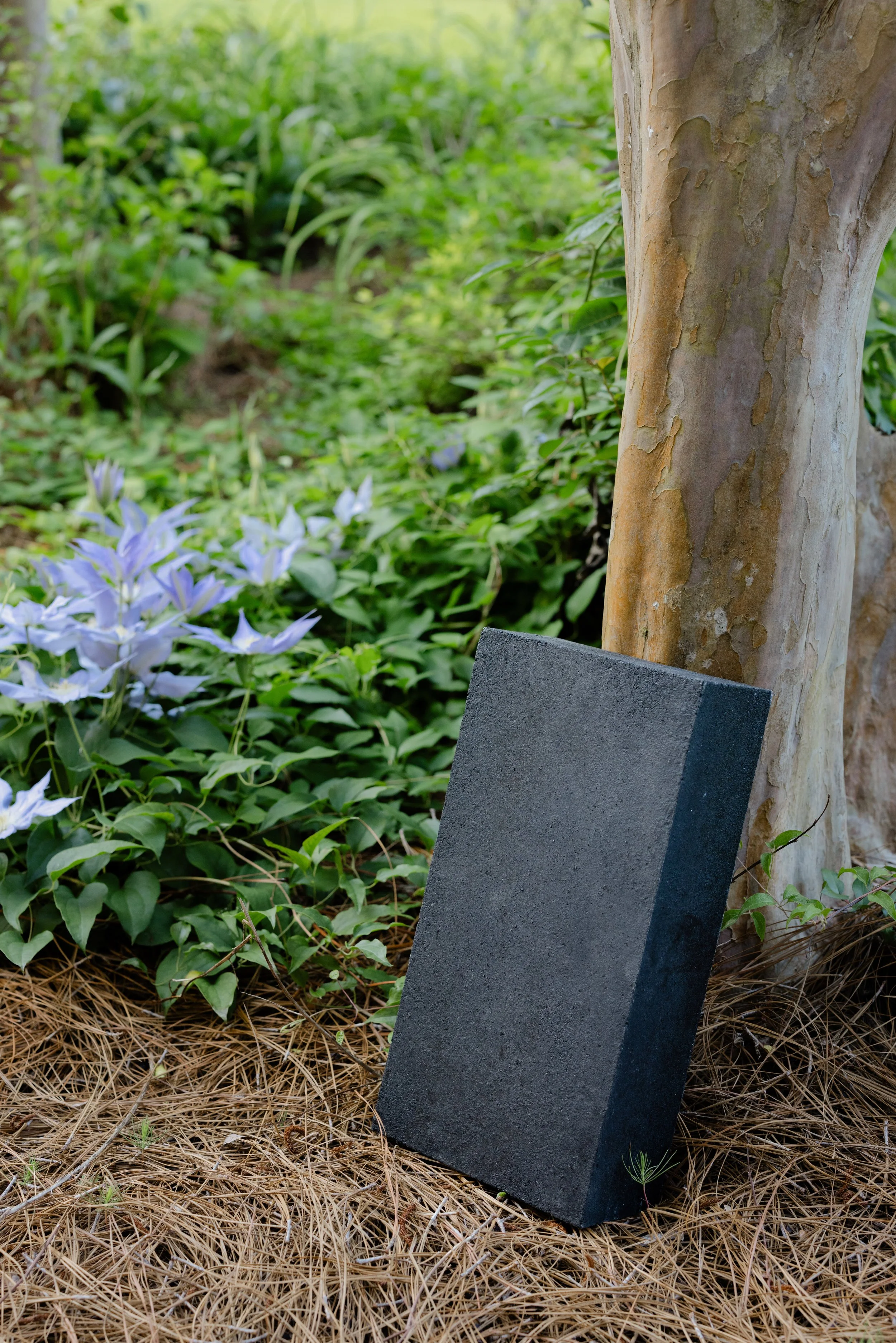 Flat black rectangular stone leaning against a tree trunk in a garden with purple flowers and green foliage.