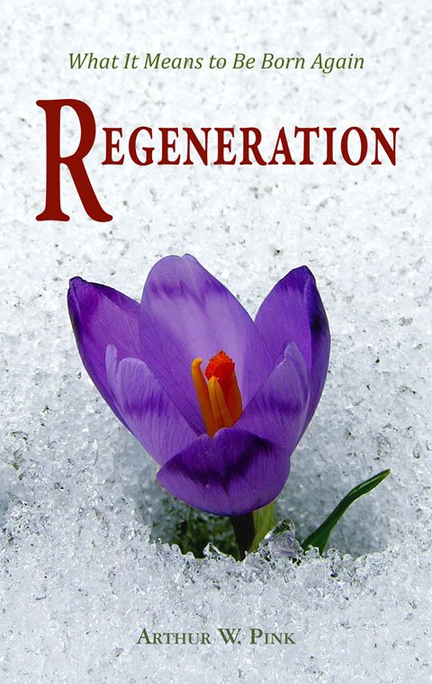 Regeneration.jpg