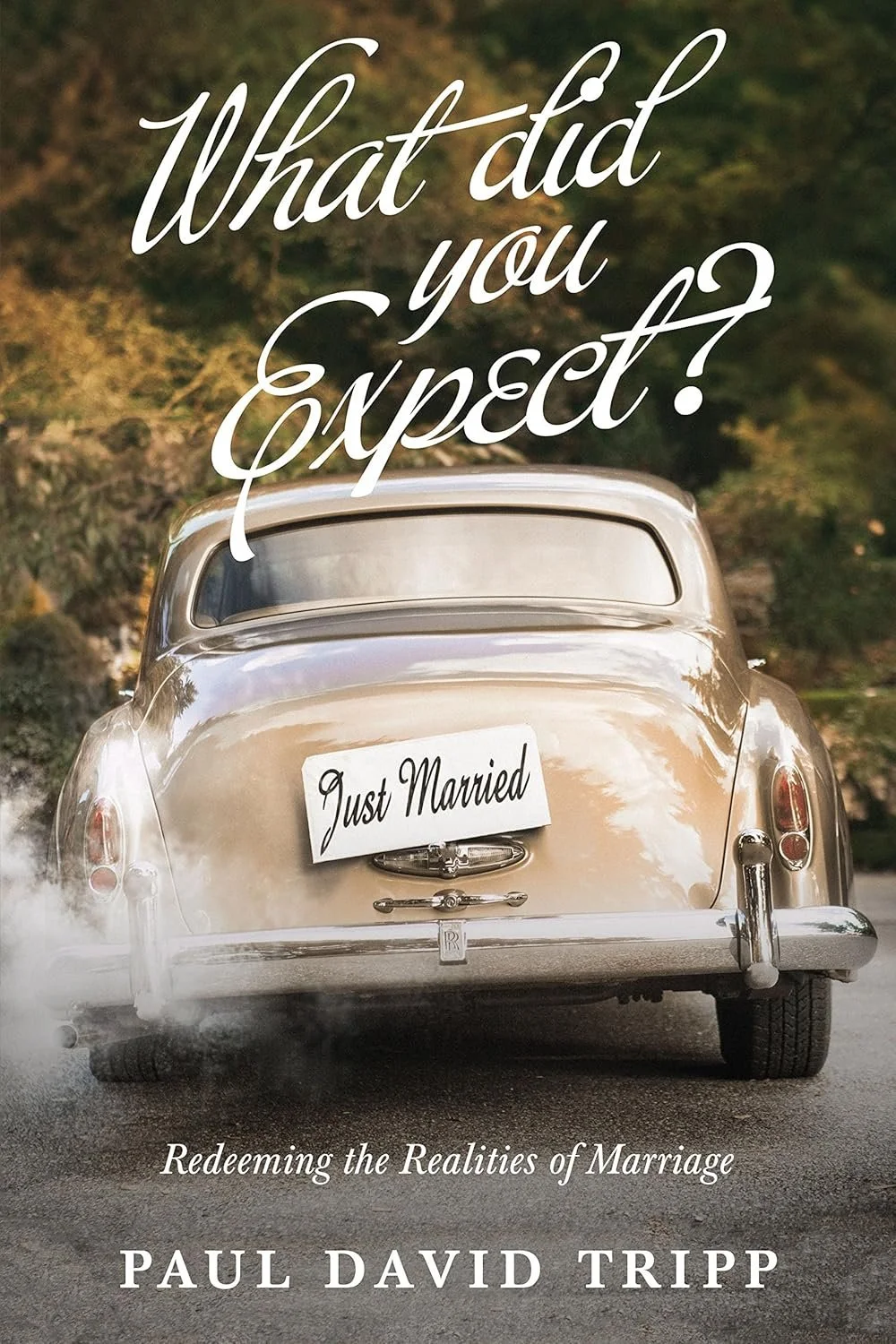 What Did you Expect? What Did you Expect?  Paul David Tripp  Marriage  Marriage   