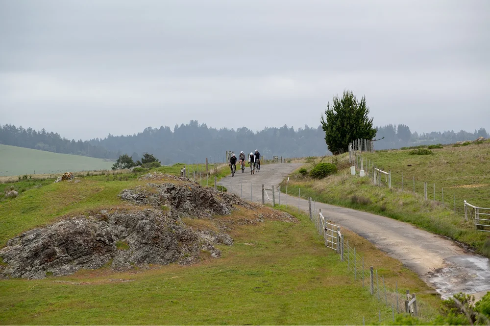 Kilfire Ridge King Ridge | Experience the Adventure Today — Grasshopper Adventure Series