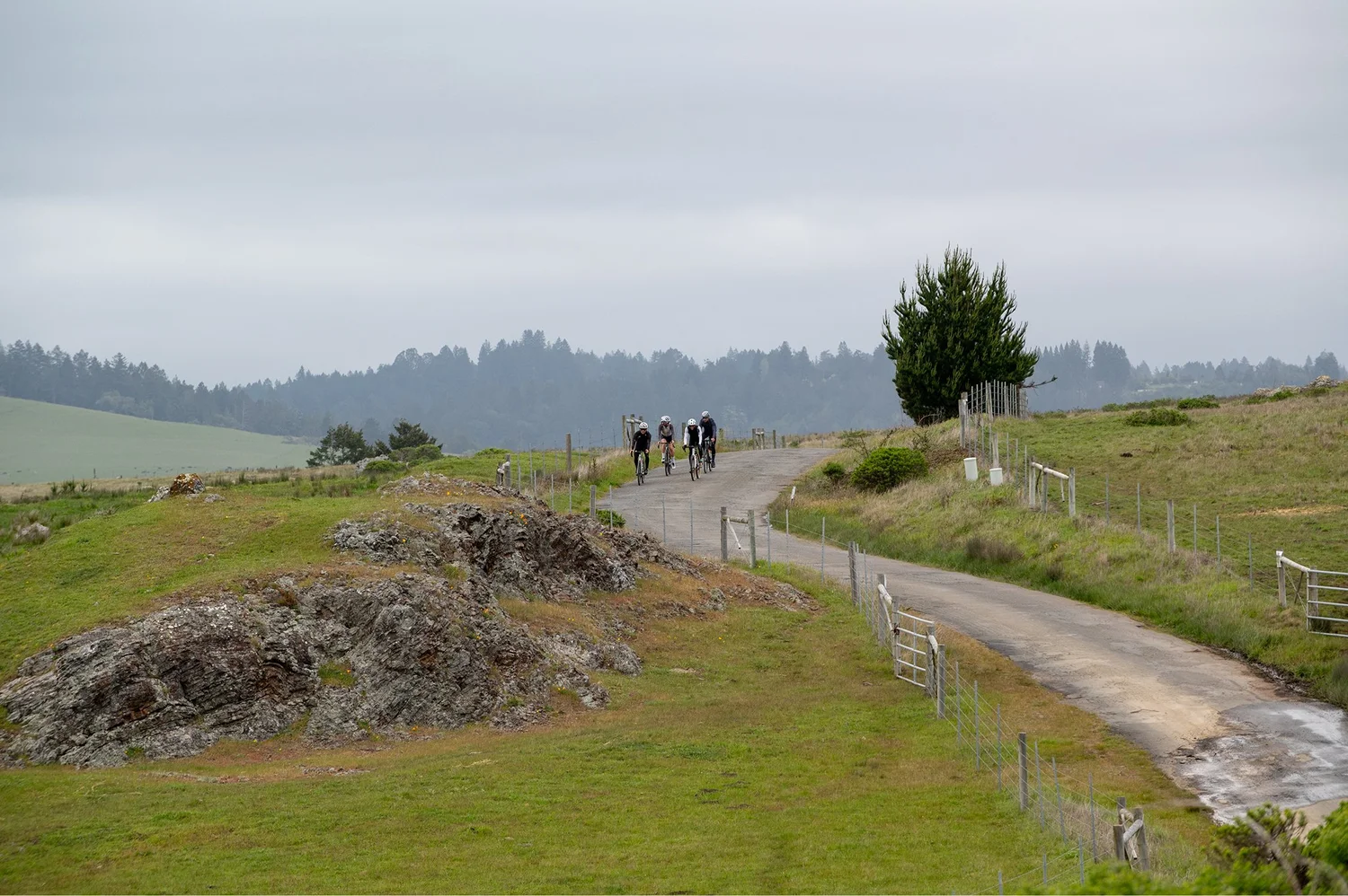 Kilfire Ridge King Ridge | Experience the Adventure Today — Grasshopper Adventure Series