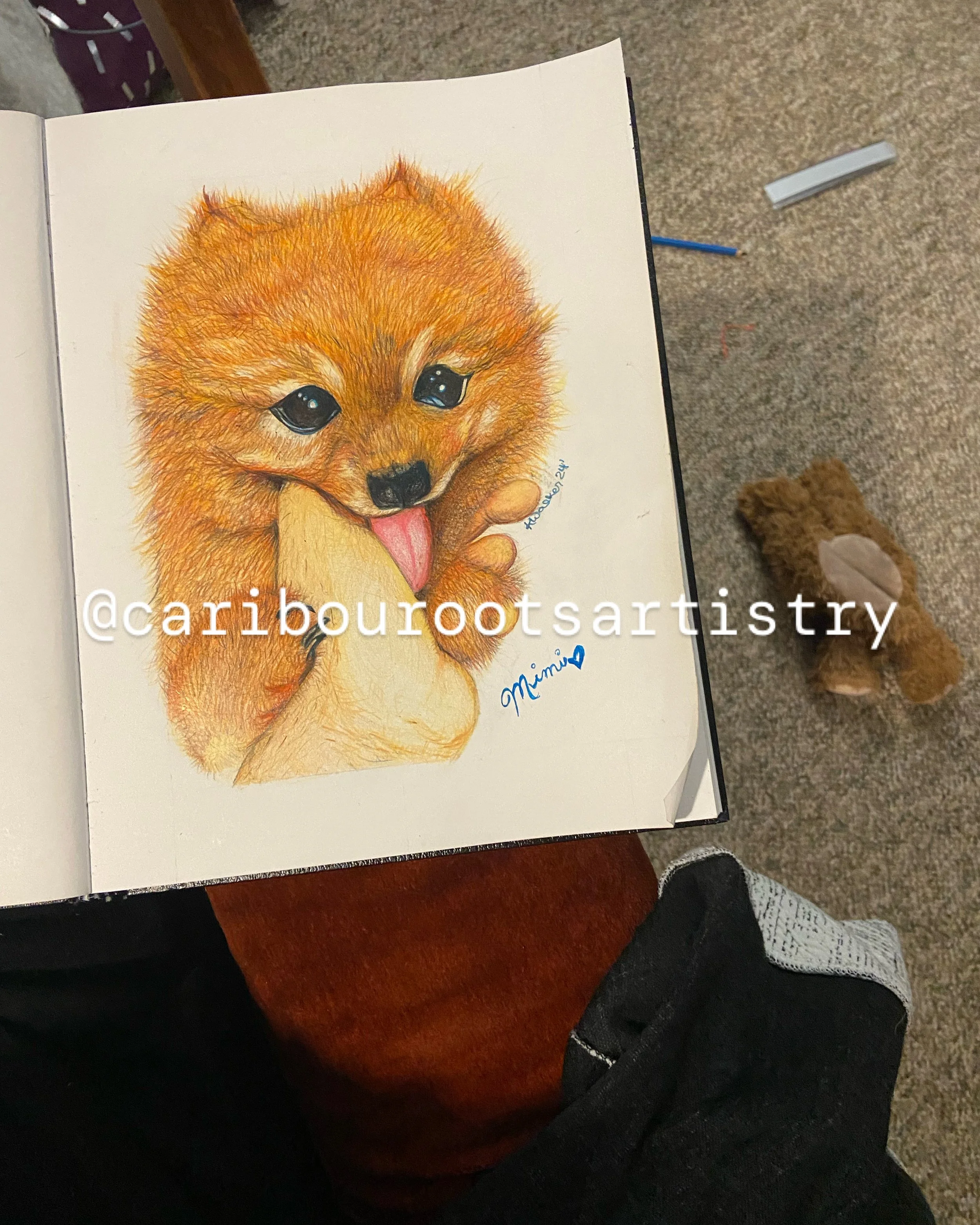 Pet Portrait