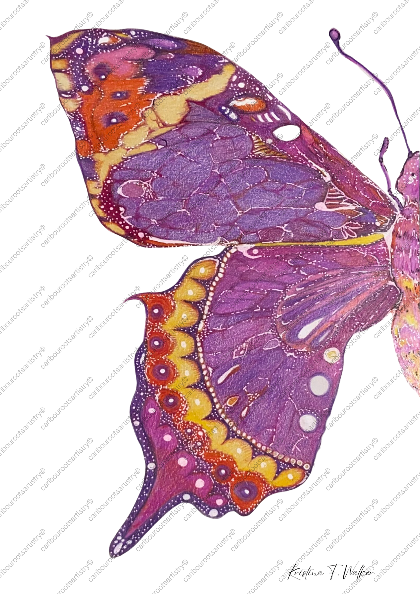 Prismatic Butterfly Collection (individual - purple) A