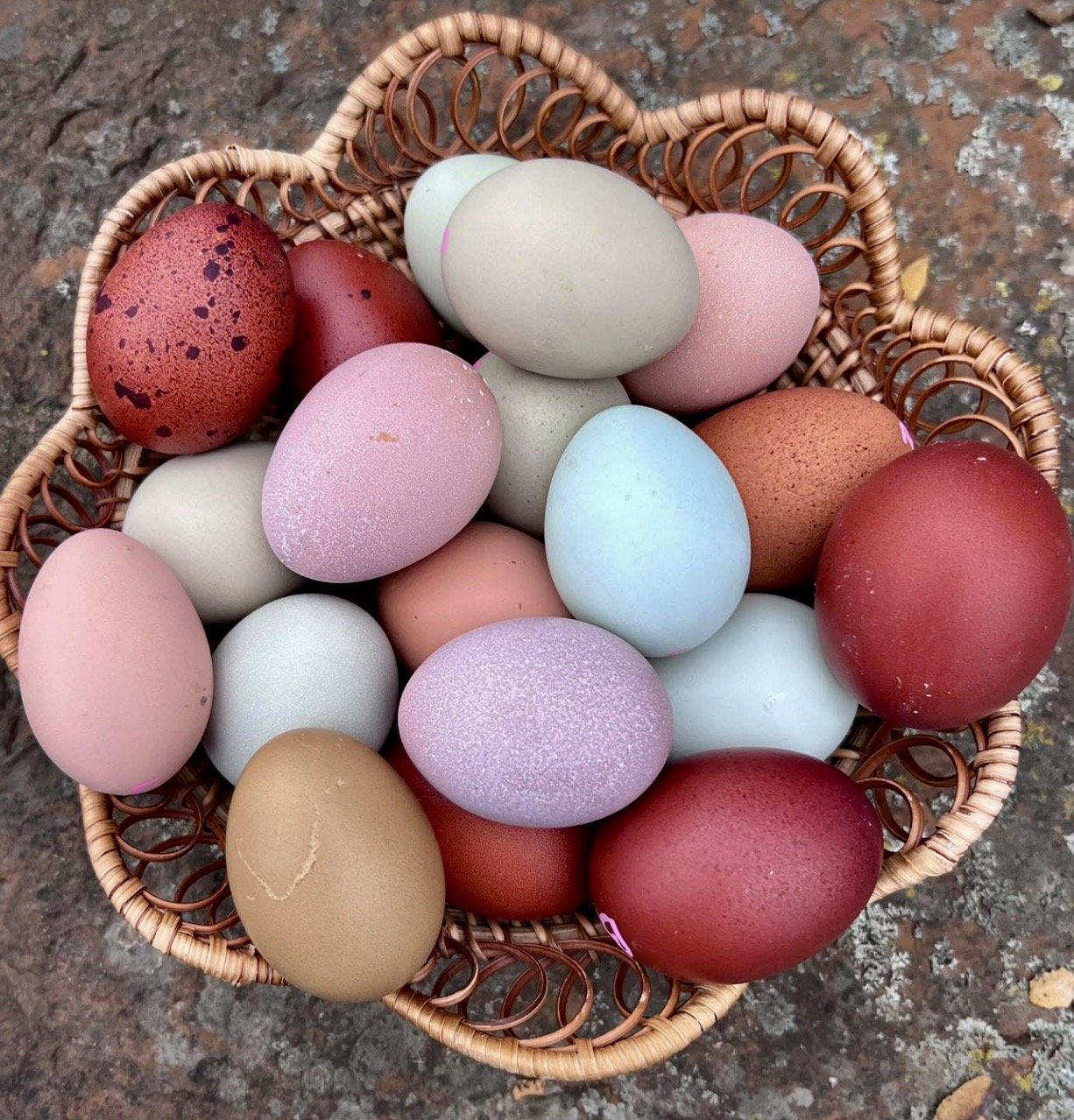 Pasture Raised Farm Fresh Eggs (Dozen)