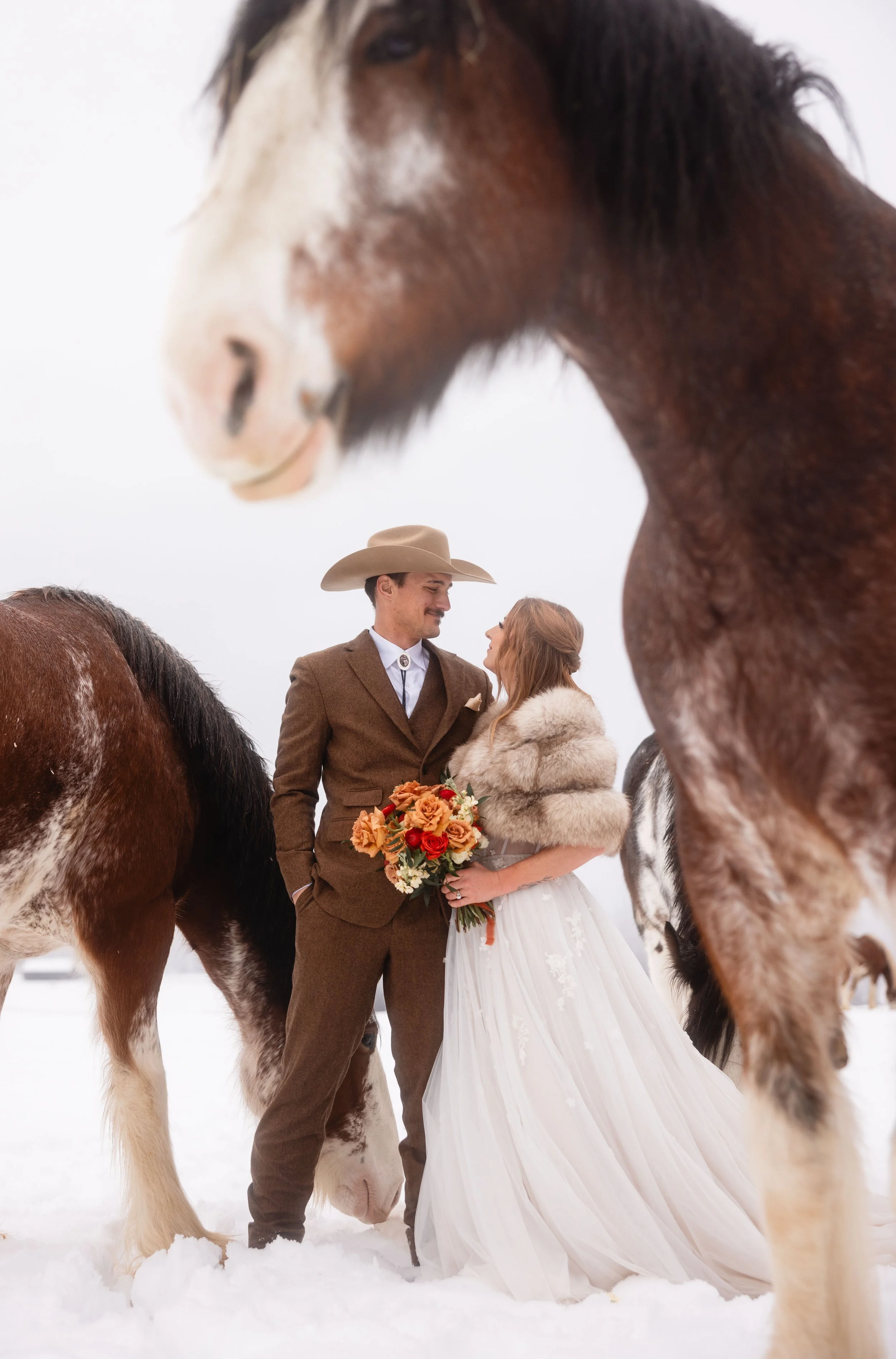 Montana Elopement in Winter