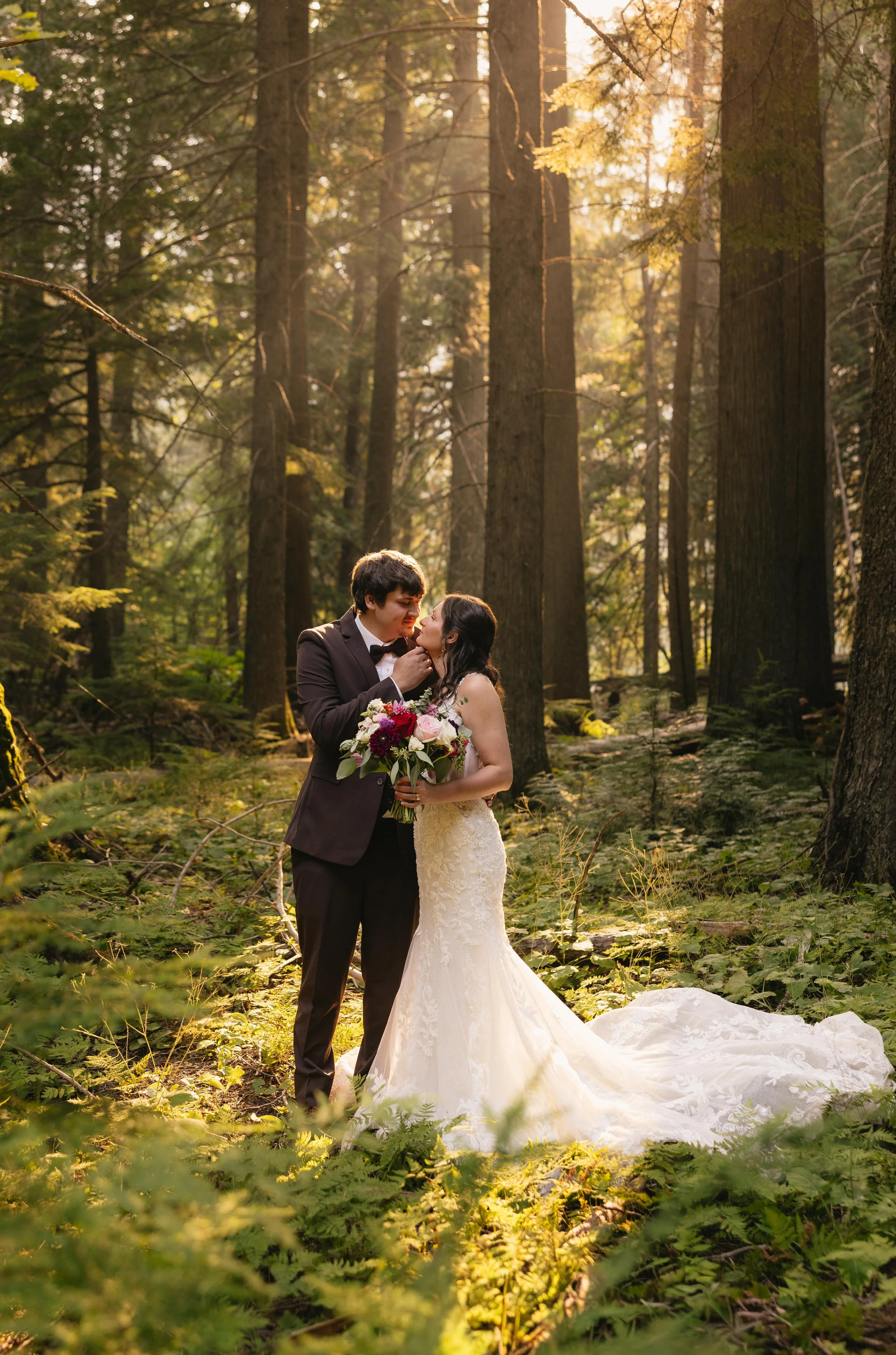 Trail of Cedars Photoshoot