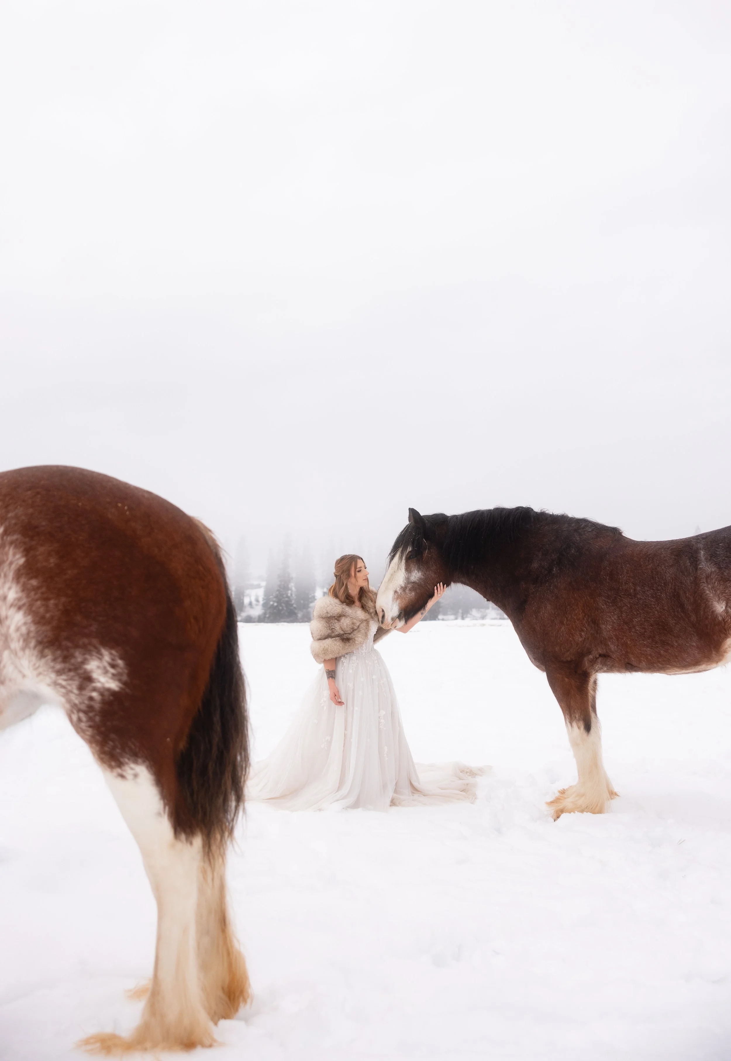A woman in a wedding dress pets a horse in a snow covered landscape.