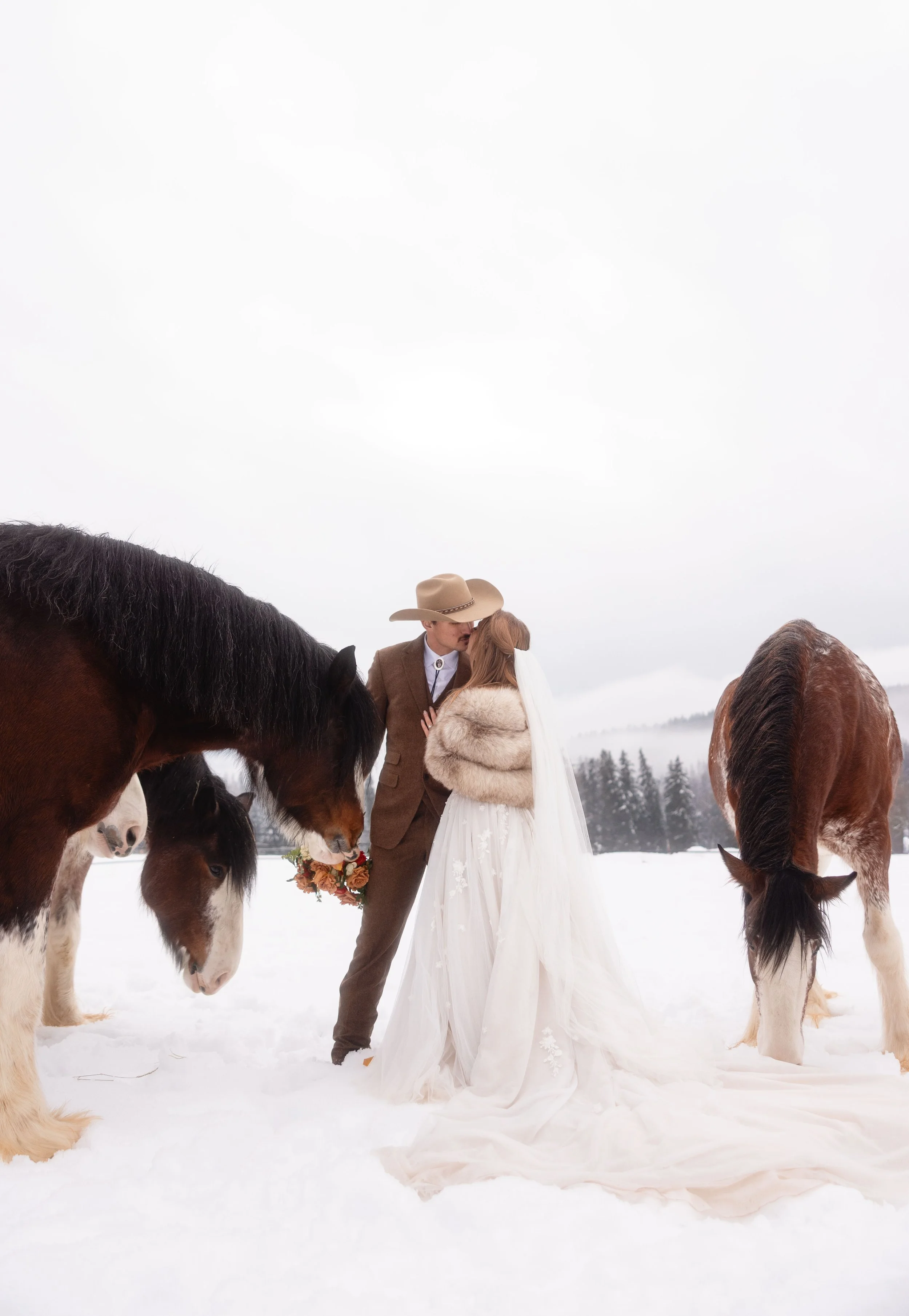 A snowy scene in Whitefish Montana with Clydesdale horses surrounding a bride and groom as they kiss.