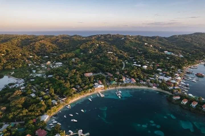half moon bay aerial.jpg