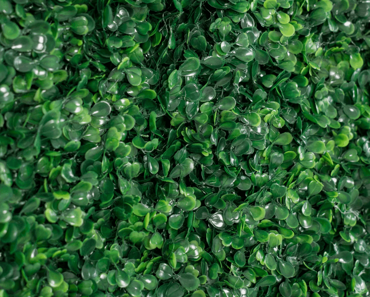 artificial-boxwood-greenery-wall-texture-detail.png