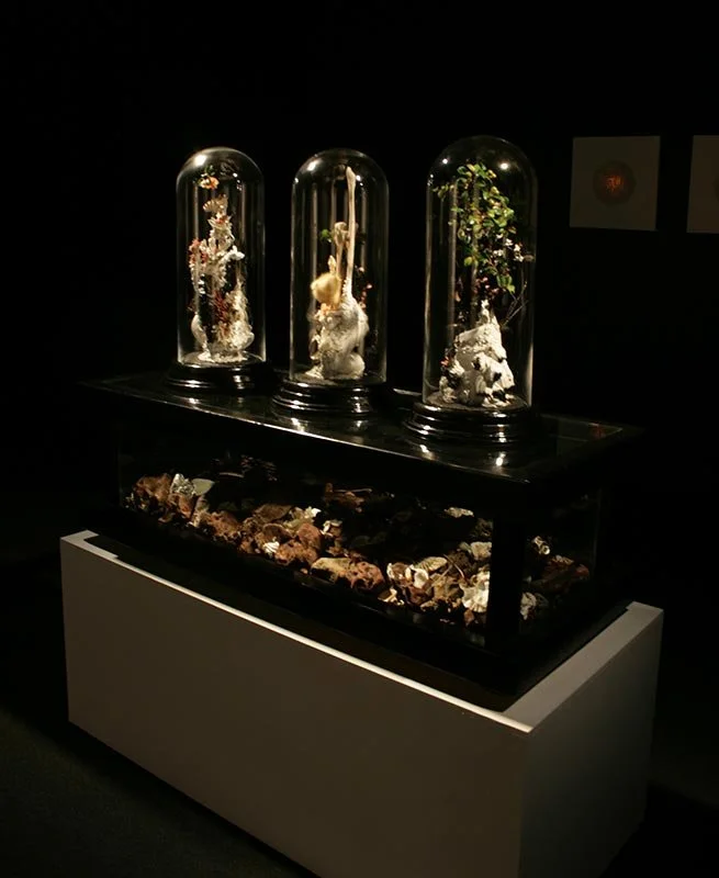 Life and Death Vessels #2