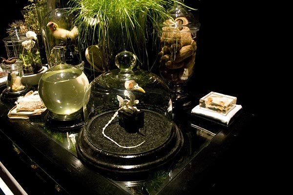 Collection_4.jpg