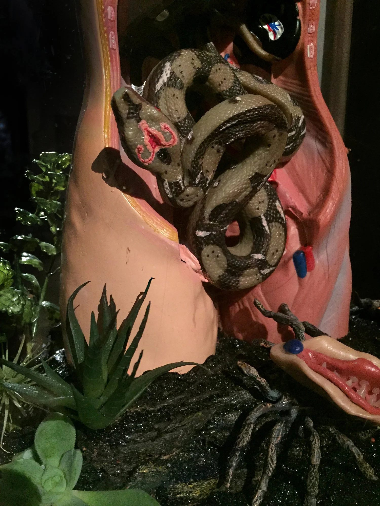 Svenja Kratz, 'Time is Topological', 2020, Detail of Augmented Anatomical Model.