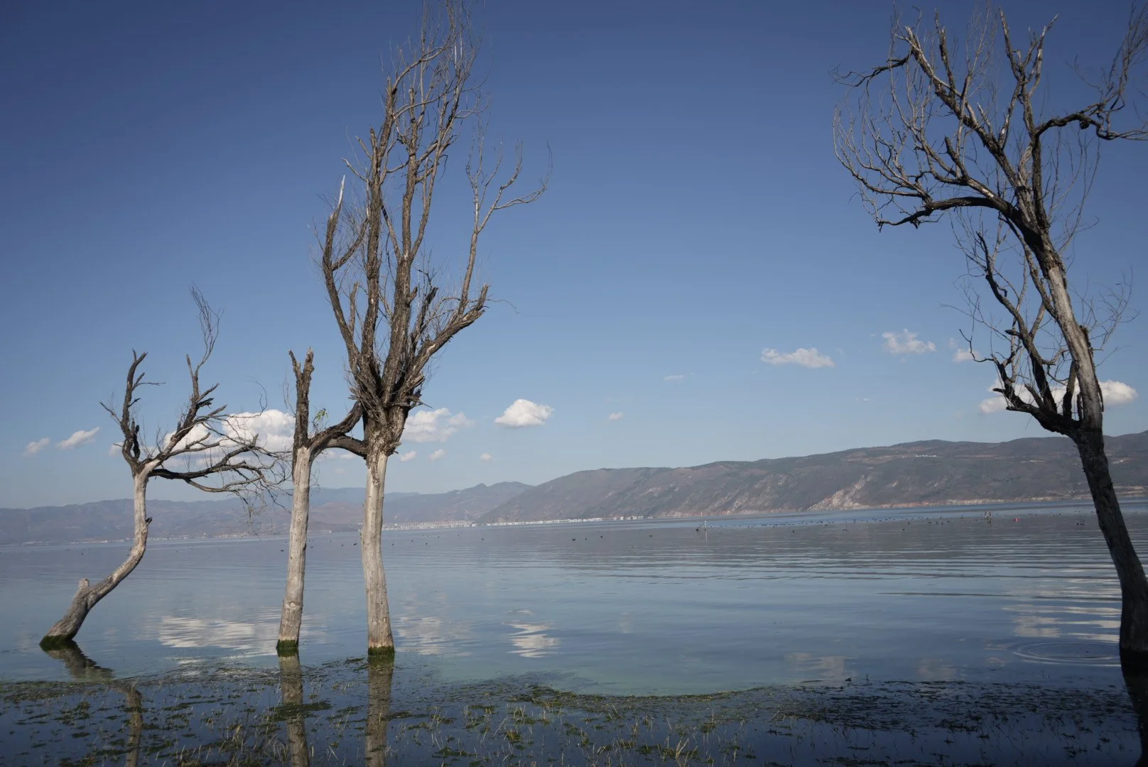Erhai Lake, Dali, Yunnan, China