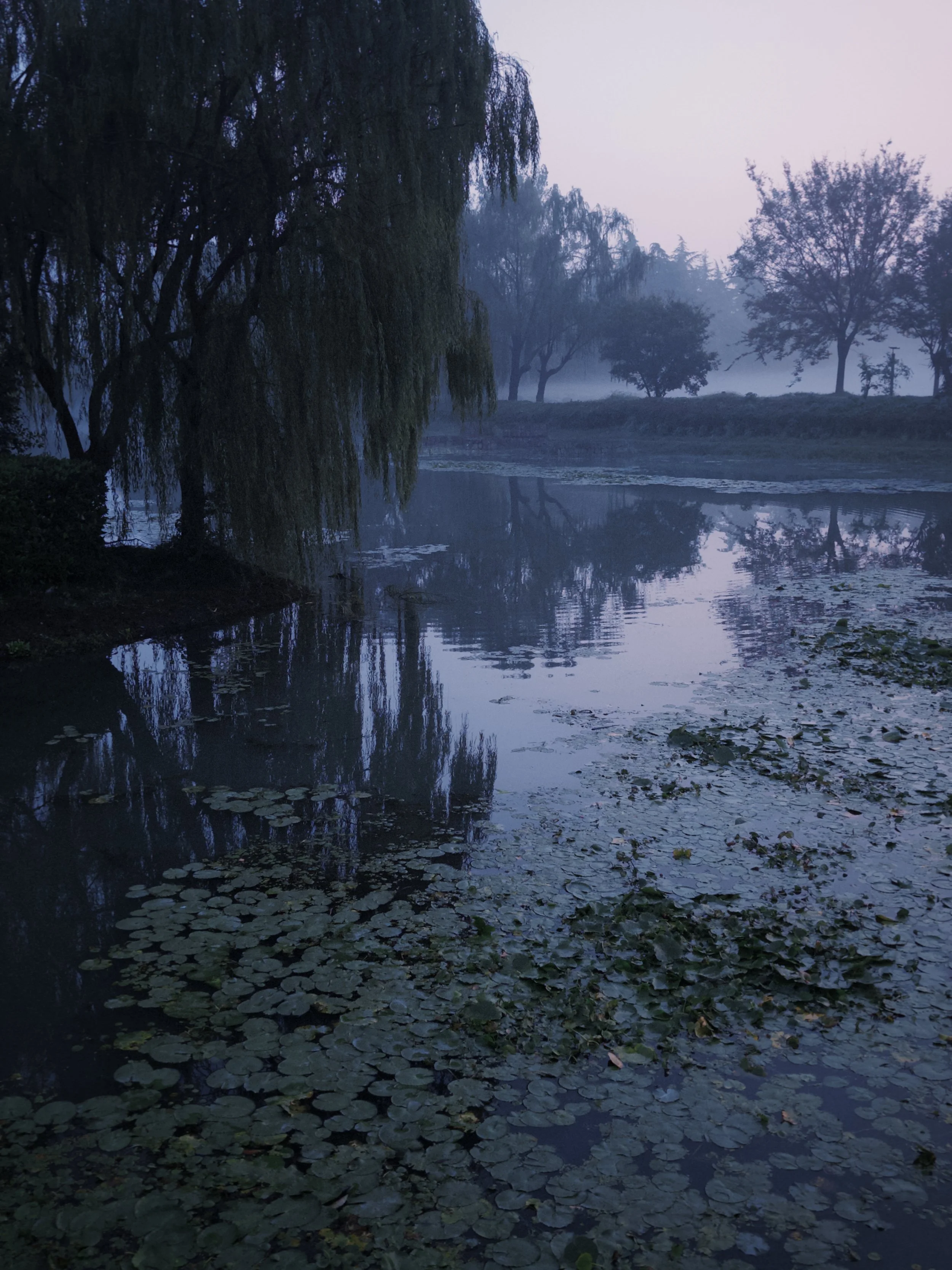 fxn 2024-11-03 063133.599.JPG