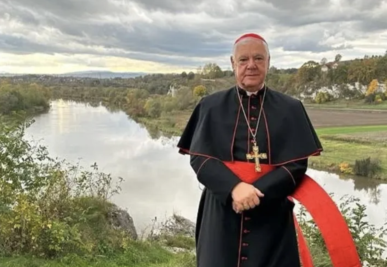 Cardinal Müller on lay homilies