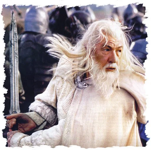Warrior wizard