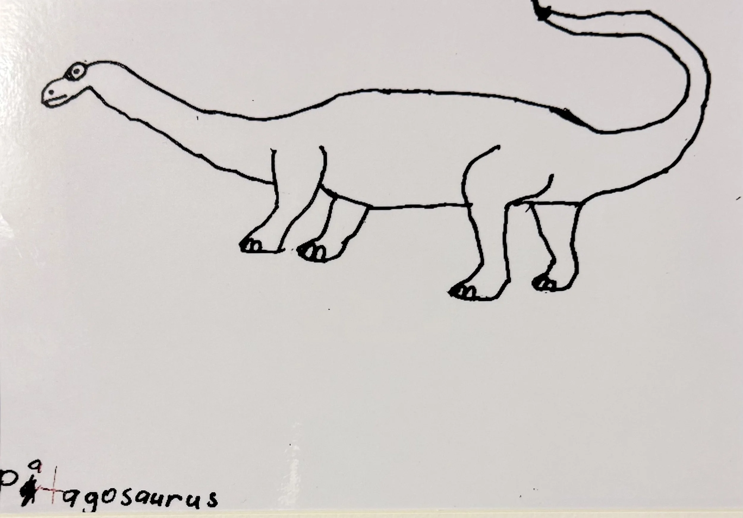 Patrick Harrison - Patagosaurus (2025) - Sharpie and pencil on paper - I feel like this is the best drawing I have ever done. I really like dinosaurs.