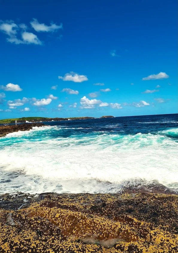 Maxwell - Untitled (2026) - Photography - I chose this photo to see how beautiful the world can be. I cannot swim, so when I look at the water, I just imagine enjoying the waves as they go over.
