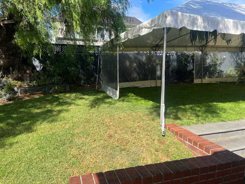TMP-Arbour-Outside4.png