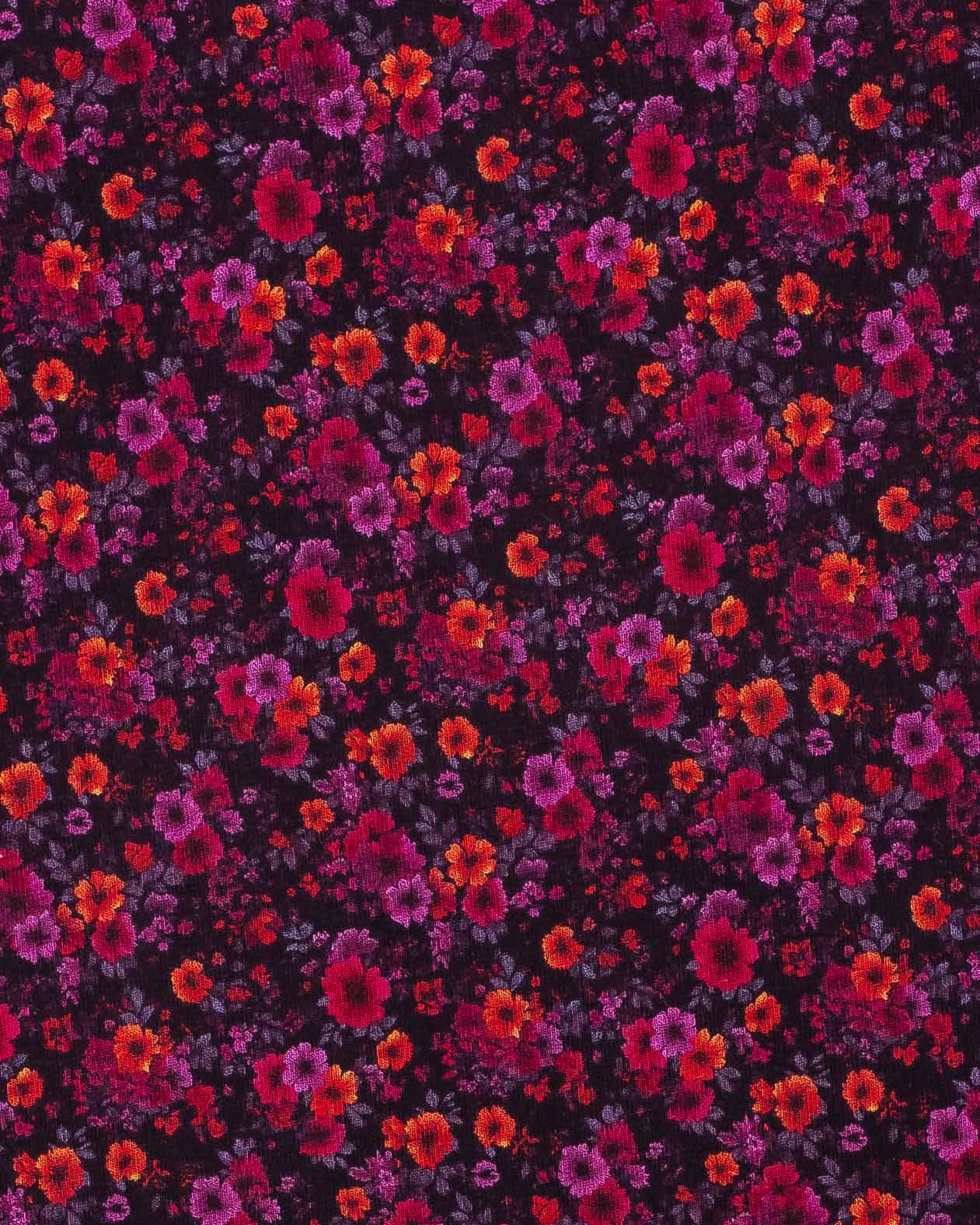 1O7A7952-Enhanced-NR_ EDIT.jpg