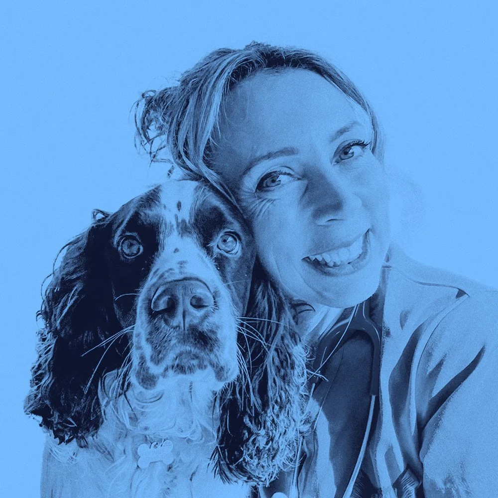 Dr. Simone Maher, veterinarian partner at Pet Longevity Institute, wearing scrubs and a stethoscope, posing with a Spaniel Dog, representing expertise in pet health and longevity
