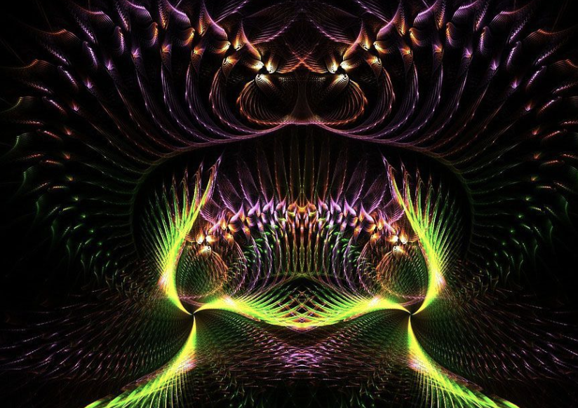 N,N-dimethyltryptamine (DMT) is neither formed nor retained in serotonin terminals in the rat brain