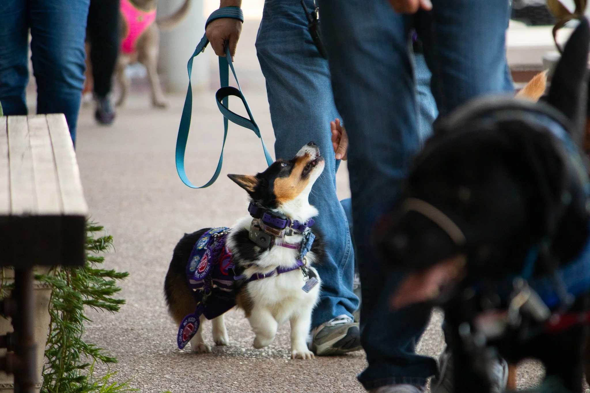 First Friday Edited 7-3-2026 (16 of 19).jpg
