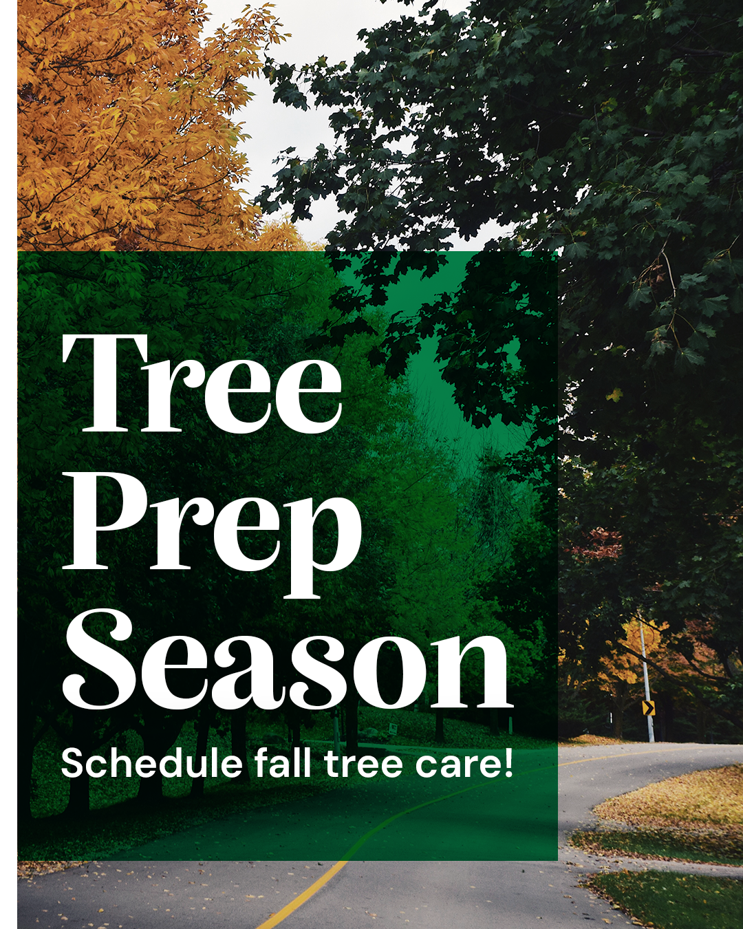 Fall is Tree Prep Season.png