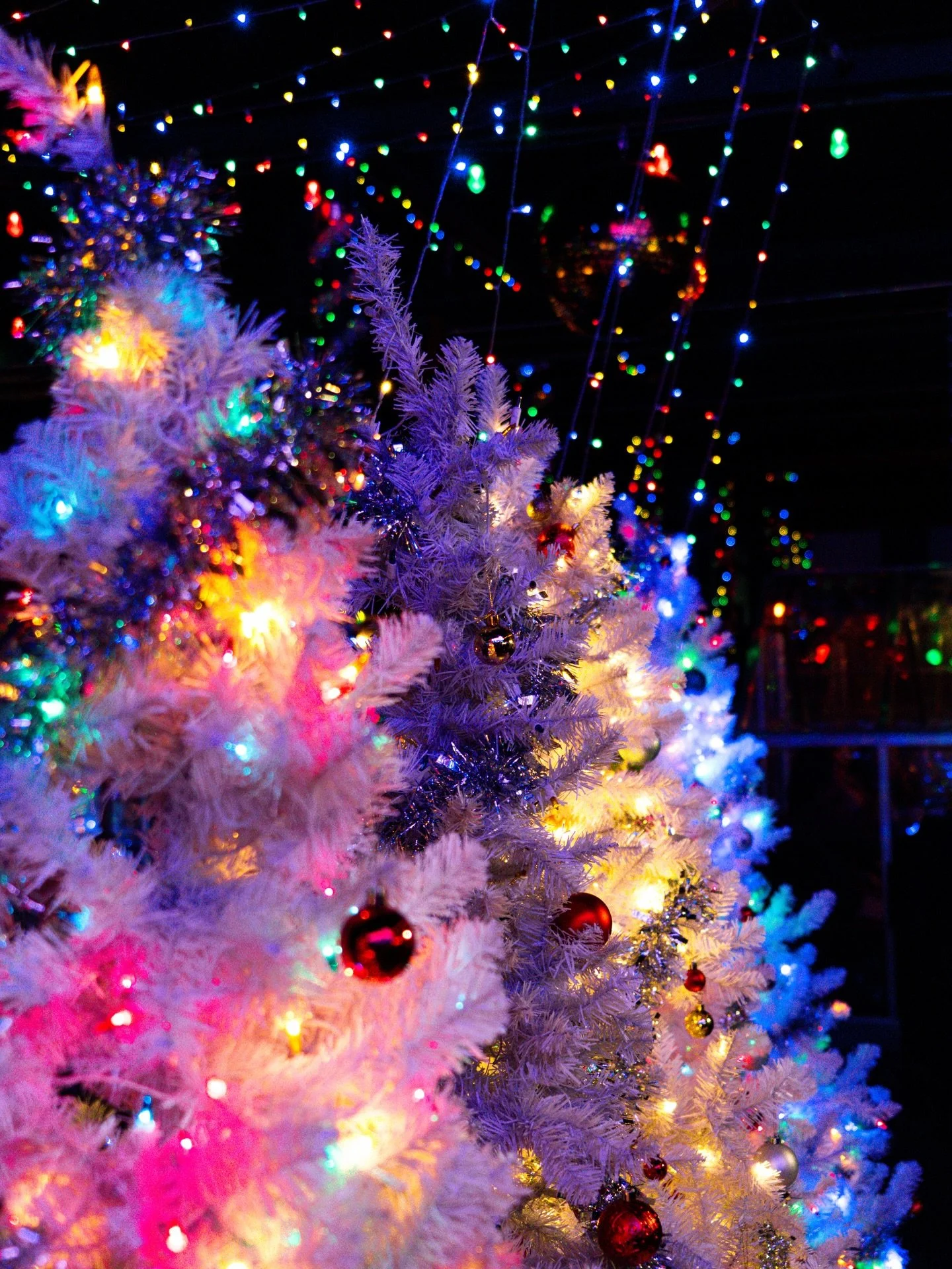 hoping everyone had a stellar holiday season and enjoys what 2026 will bring 🍾