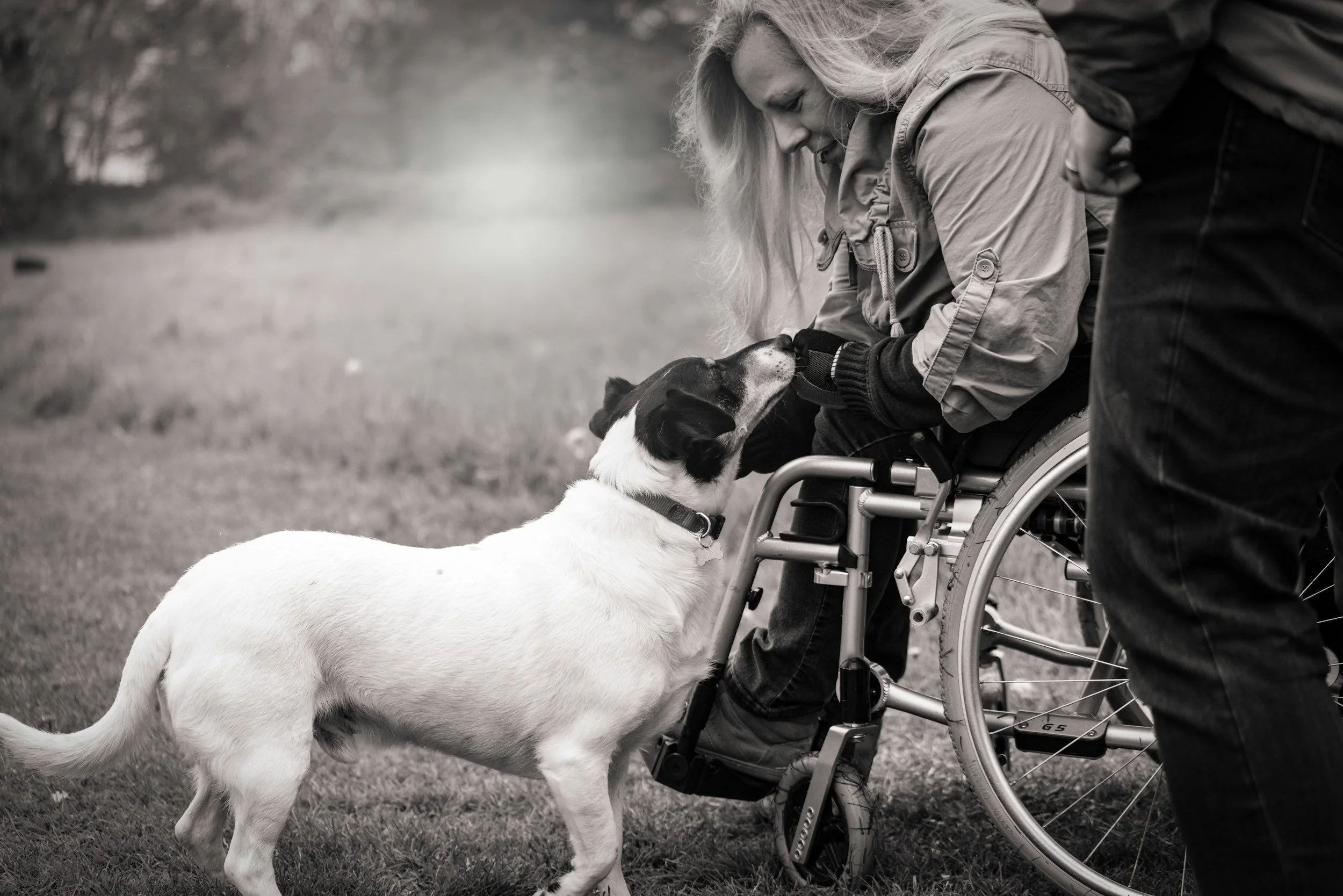 A woman in a wheelchair patting a dog