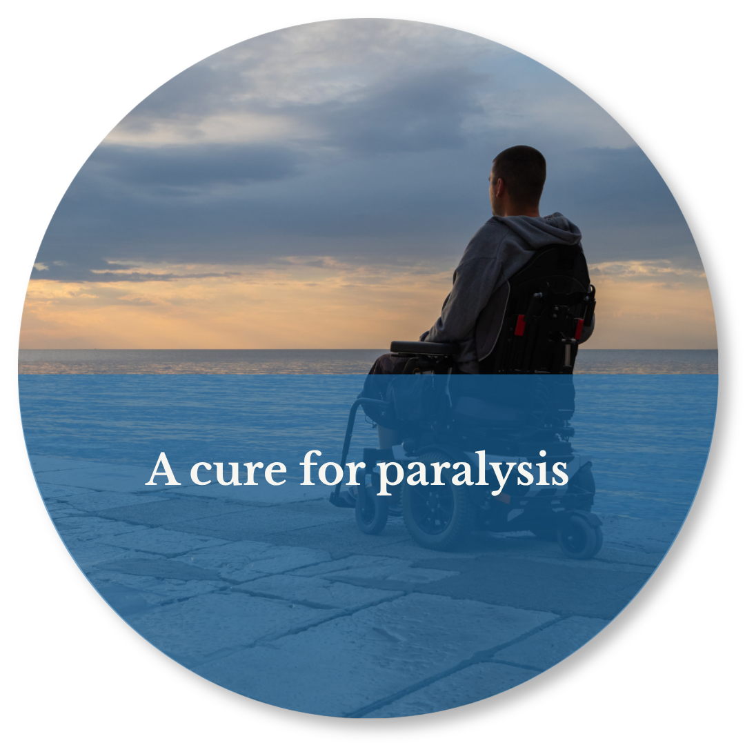 Hope on the Horizon:  A Step Closer to a Cure for Paralysis.