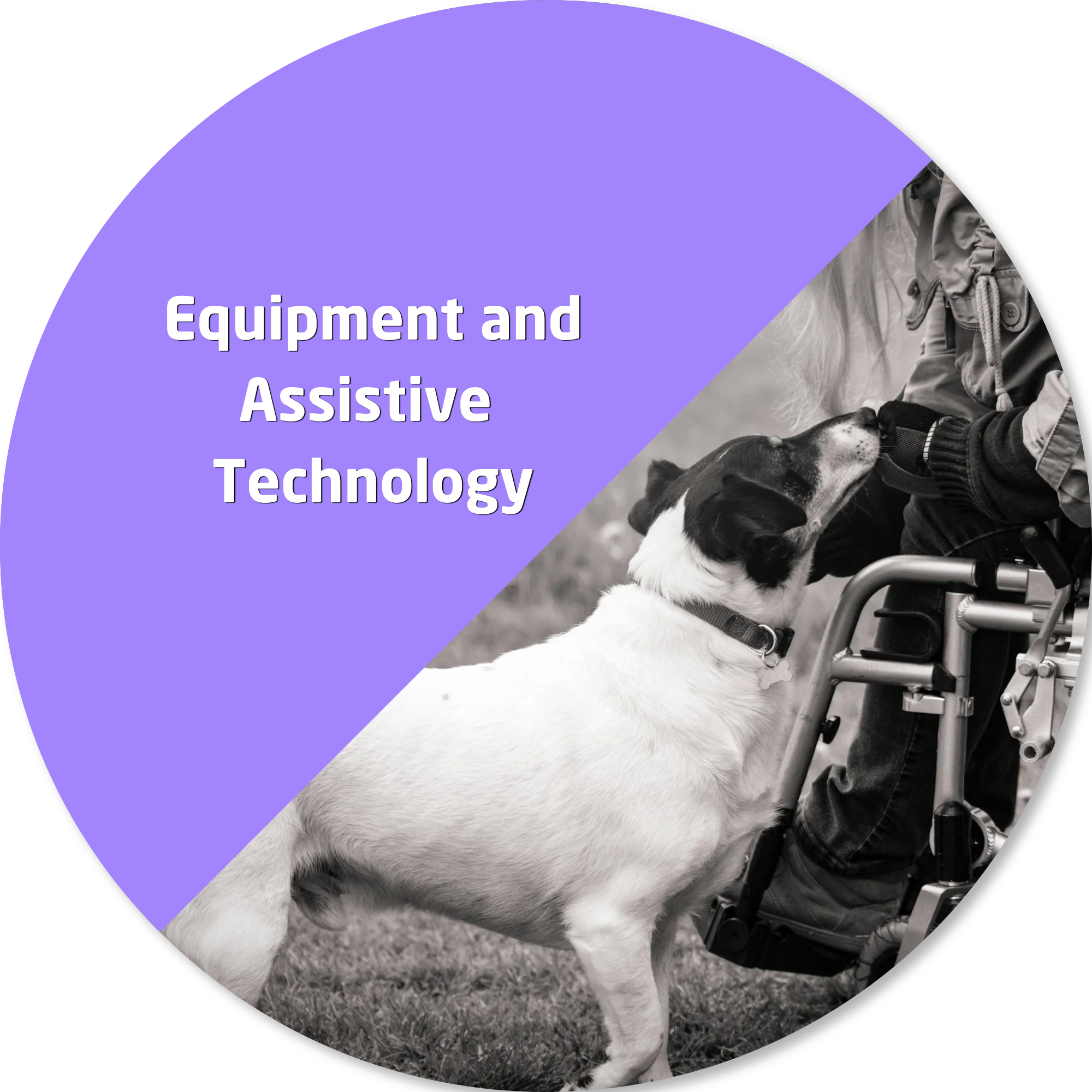 Person using a wheelchair interacting with a dog outdoors, representing connection, independence and community participation
