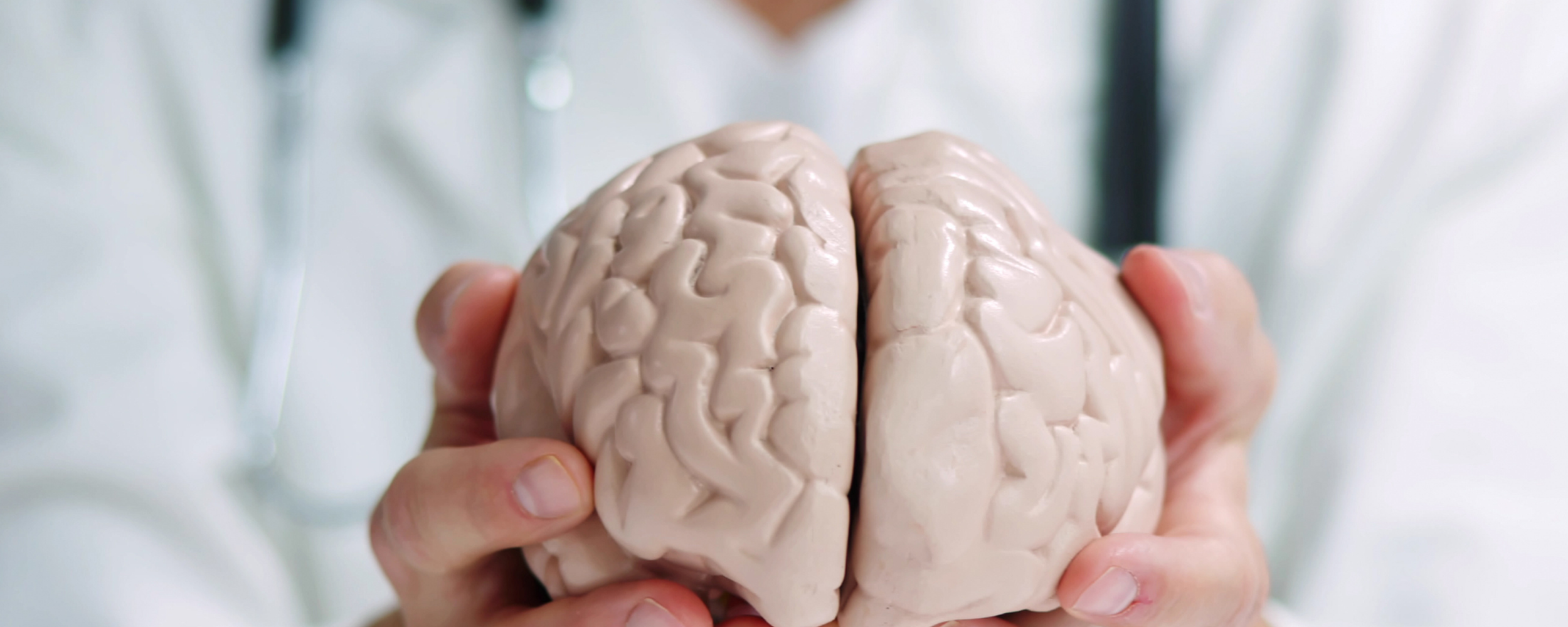 Healthcare professional holding a model of a human brain, representing neurological rehabilitation and brain health.