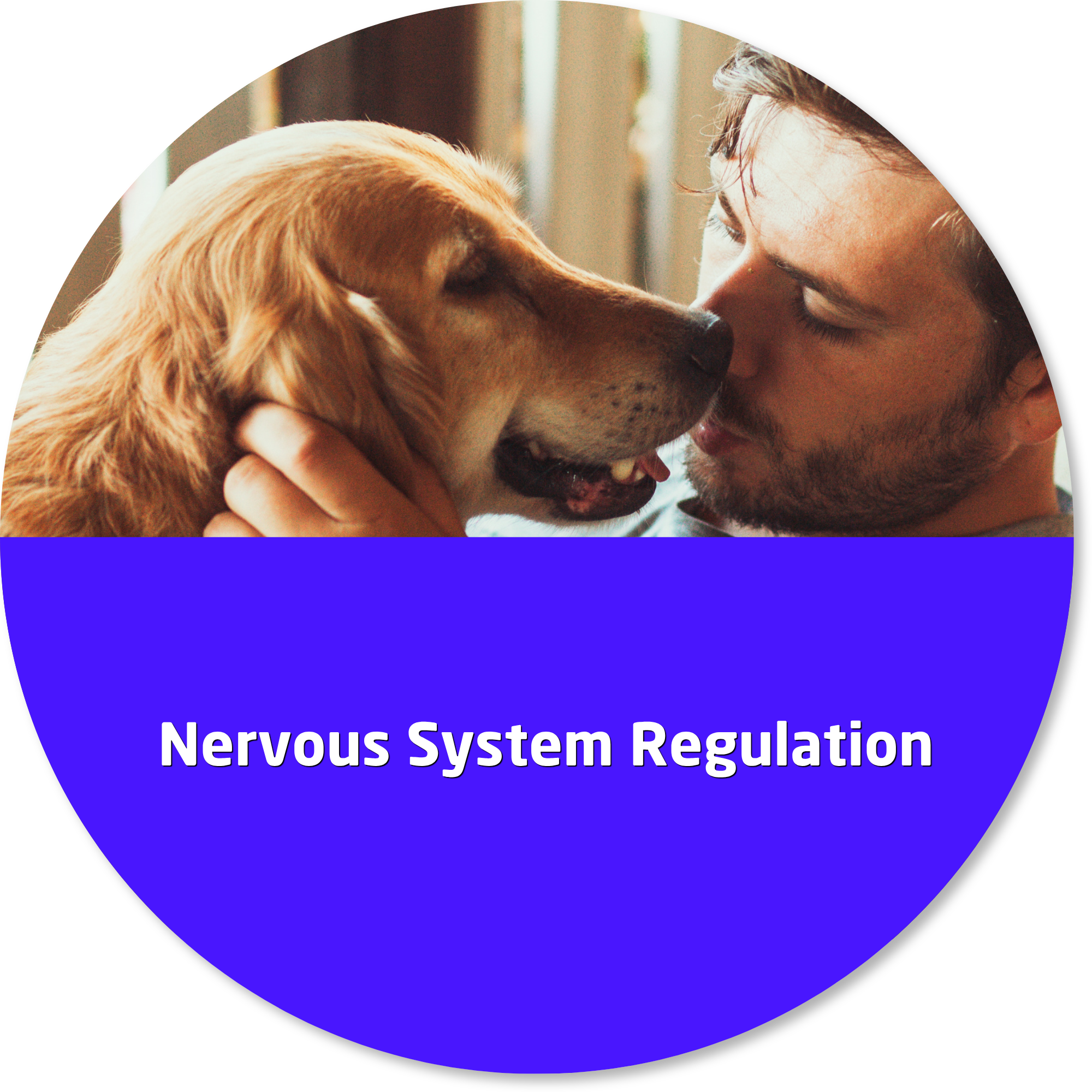 Person regulating their nervous system with a companion dog, highlighting emotional wellbeing, connection, and the calming support of companion animals