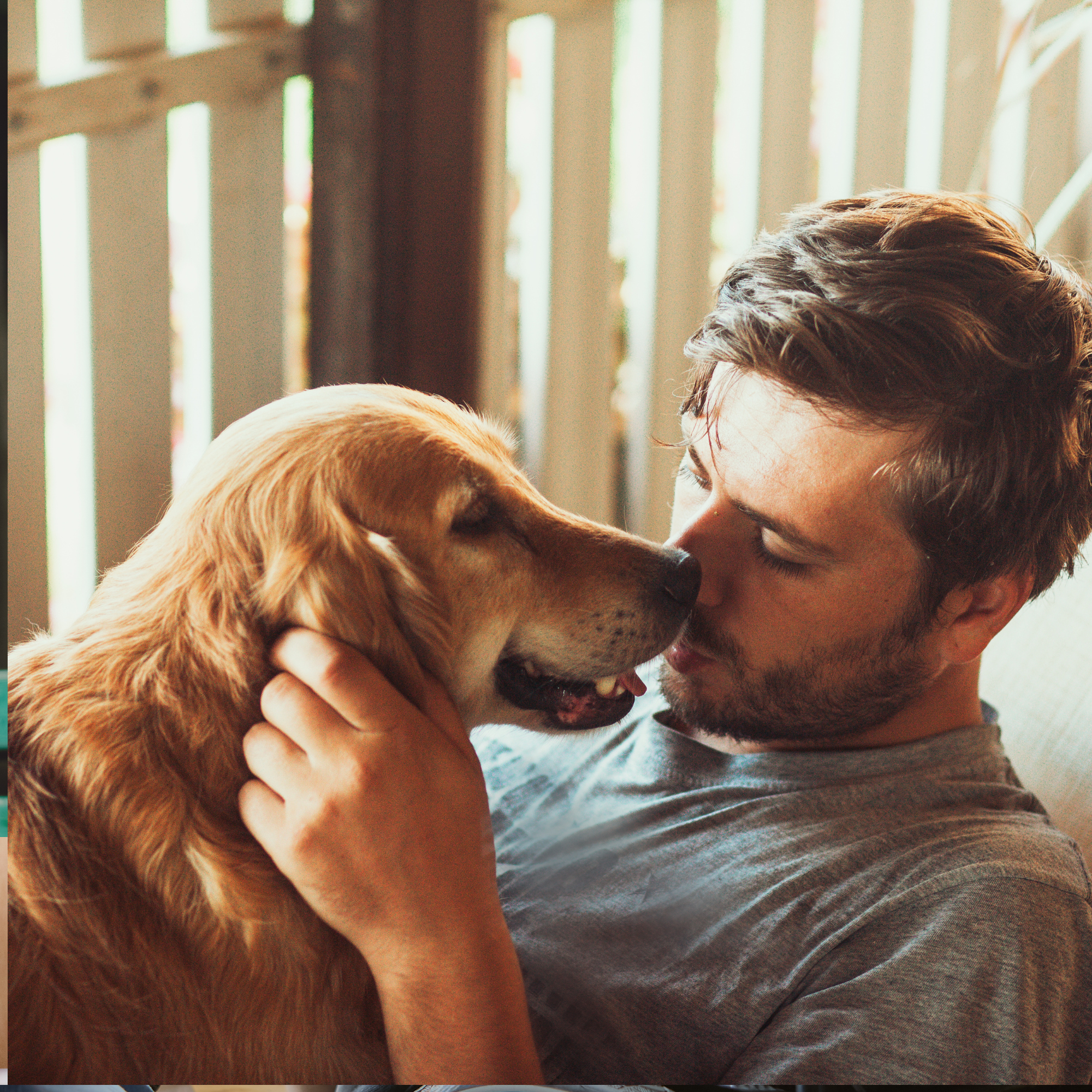 Person relaxing with a golden retriever, highlighting emotional wellbeing, connection, and nervous system regulation with the support of companion animals