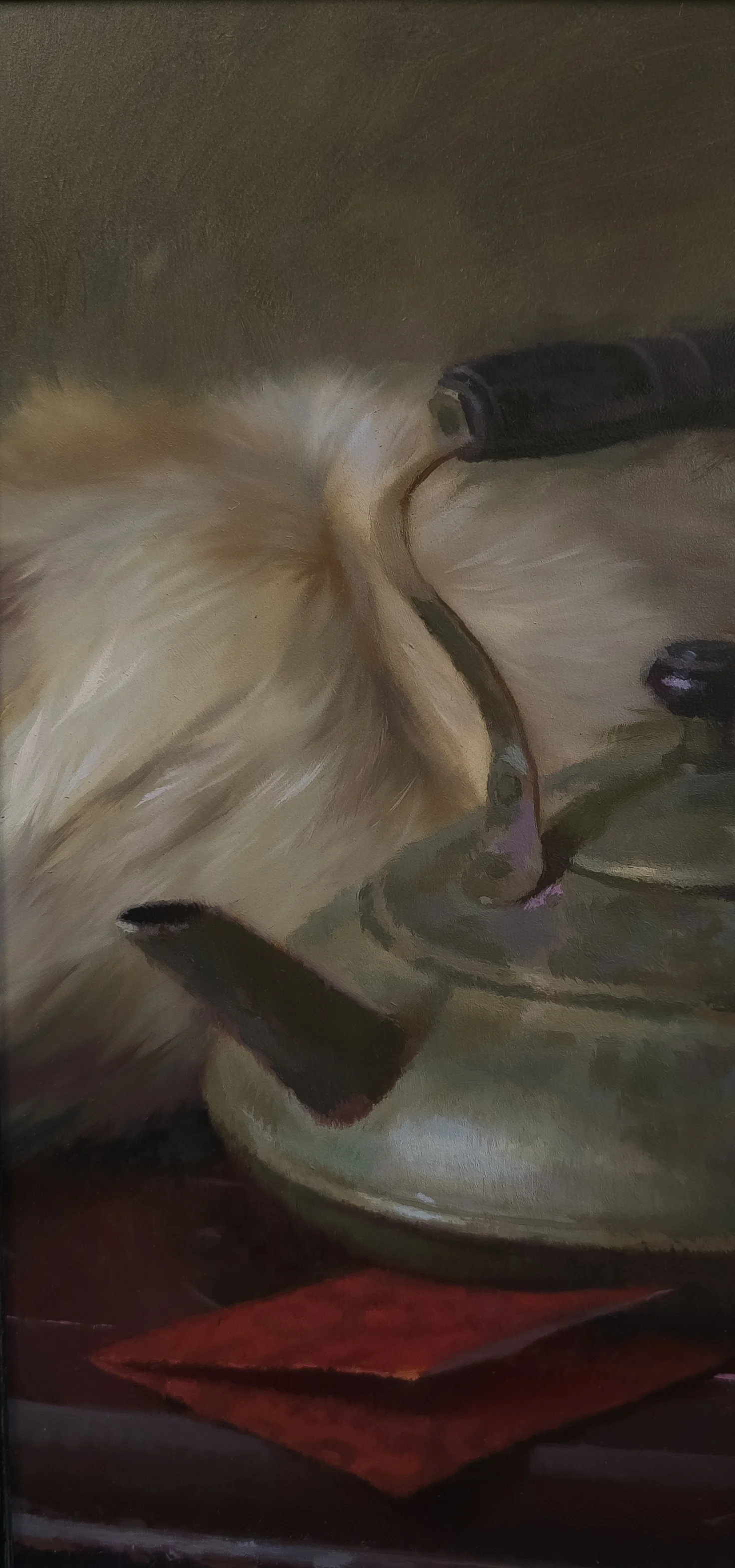 20260429_125627.jpg