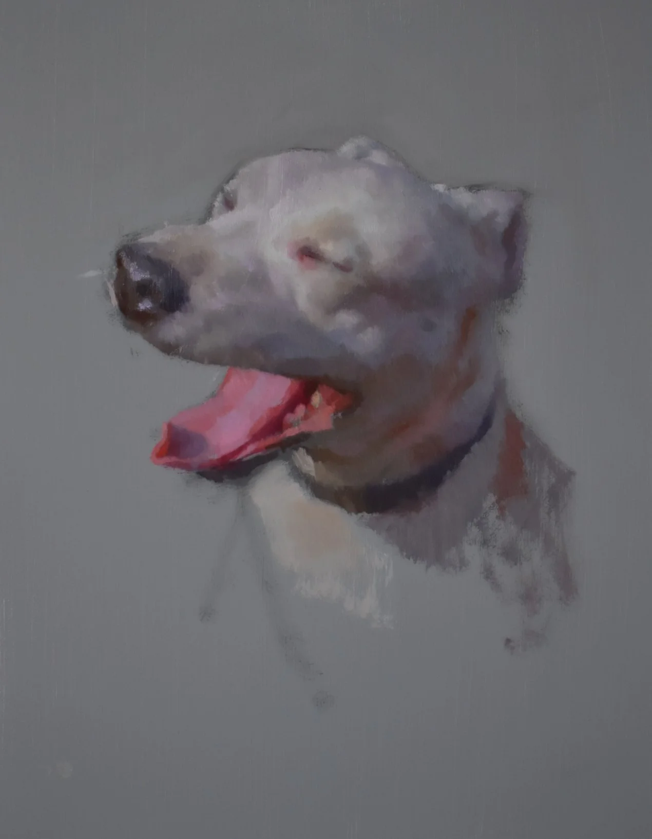 50. Clementine 8” x 10” Oil on Panel NFS