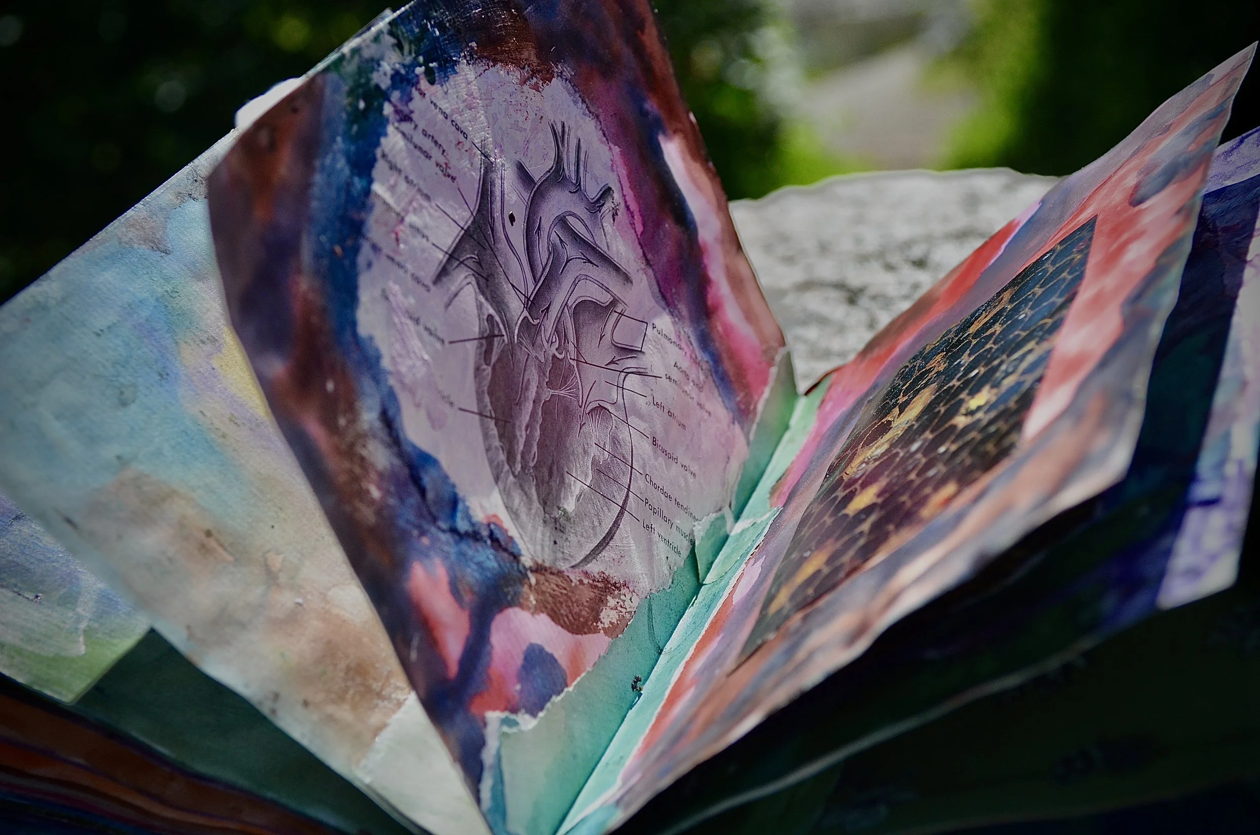 Spell Book Heart Filler Pages Pages Turning.jpg