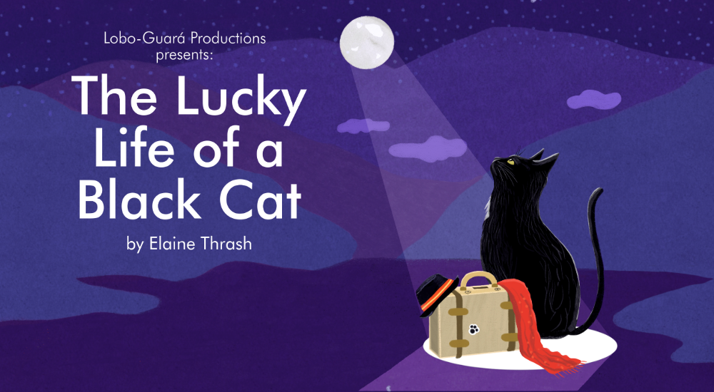 The-Lucky-Life-Of-A-Black-Cat-Fringe-Marketing-Submission-2-Website.png