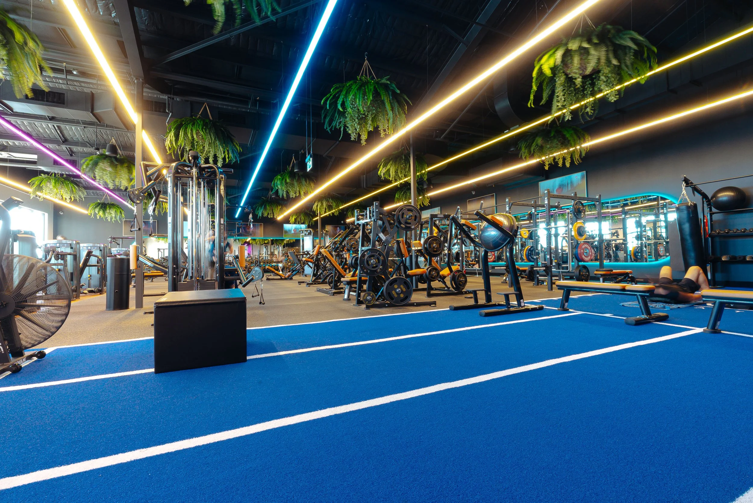 Ink Joinery - Gables Gym-01.jpg