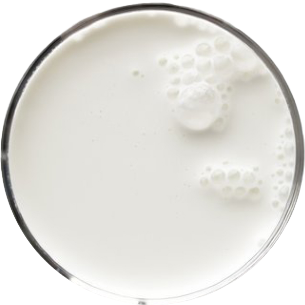 A top-down view of a glass filled with milk.