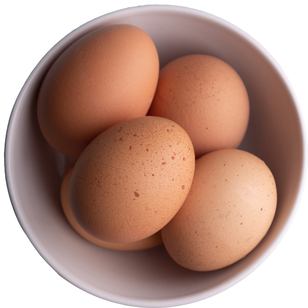 A white bowl filled with six brown chicken eggs.