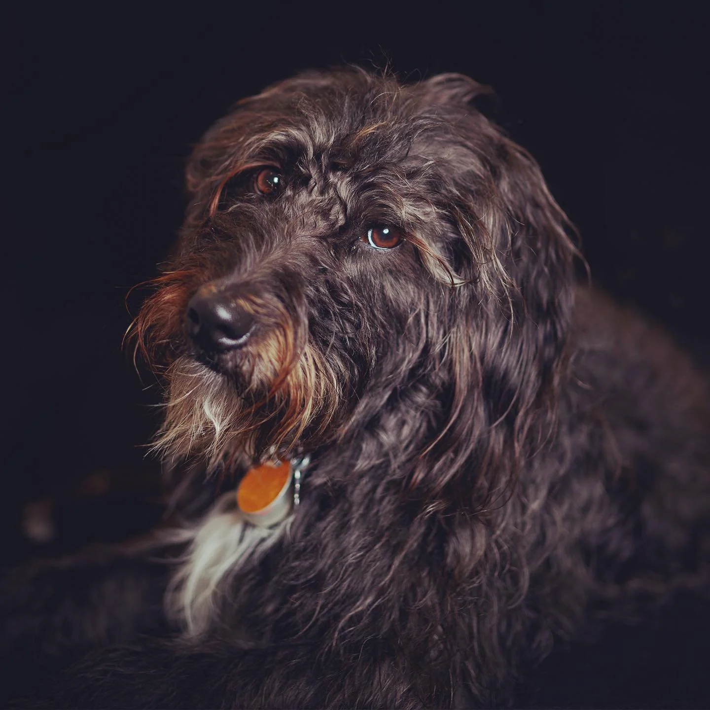 She wasn&rsquo;t thrilled