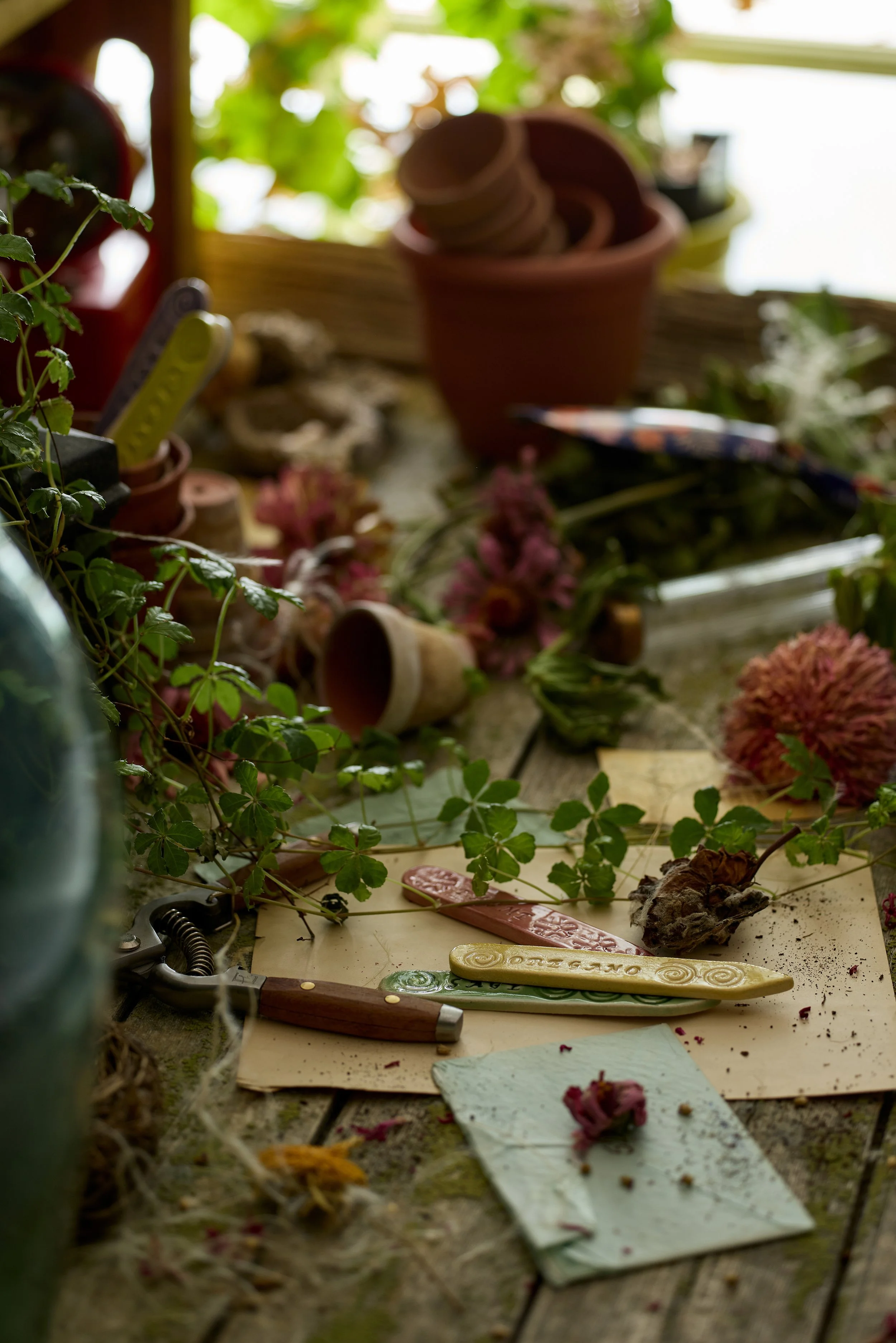 A cluttered wooden table with gardening tools, flower pots, and scattered plants and flowers in a greenhouse or garden setting.