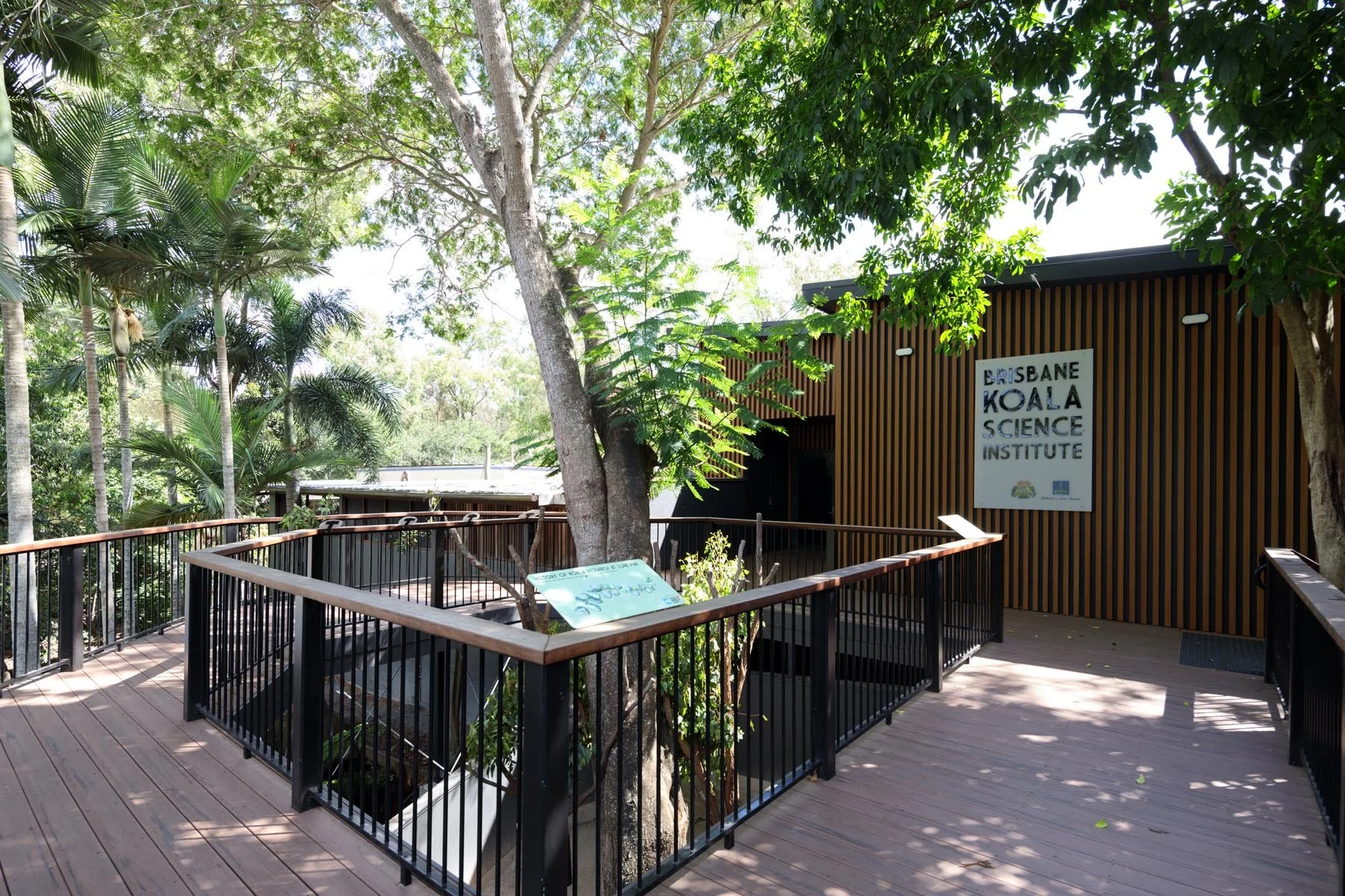 Brisbane Koala Science Institute Deck Exterior